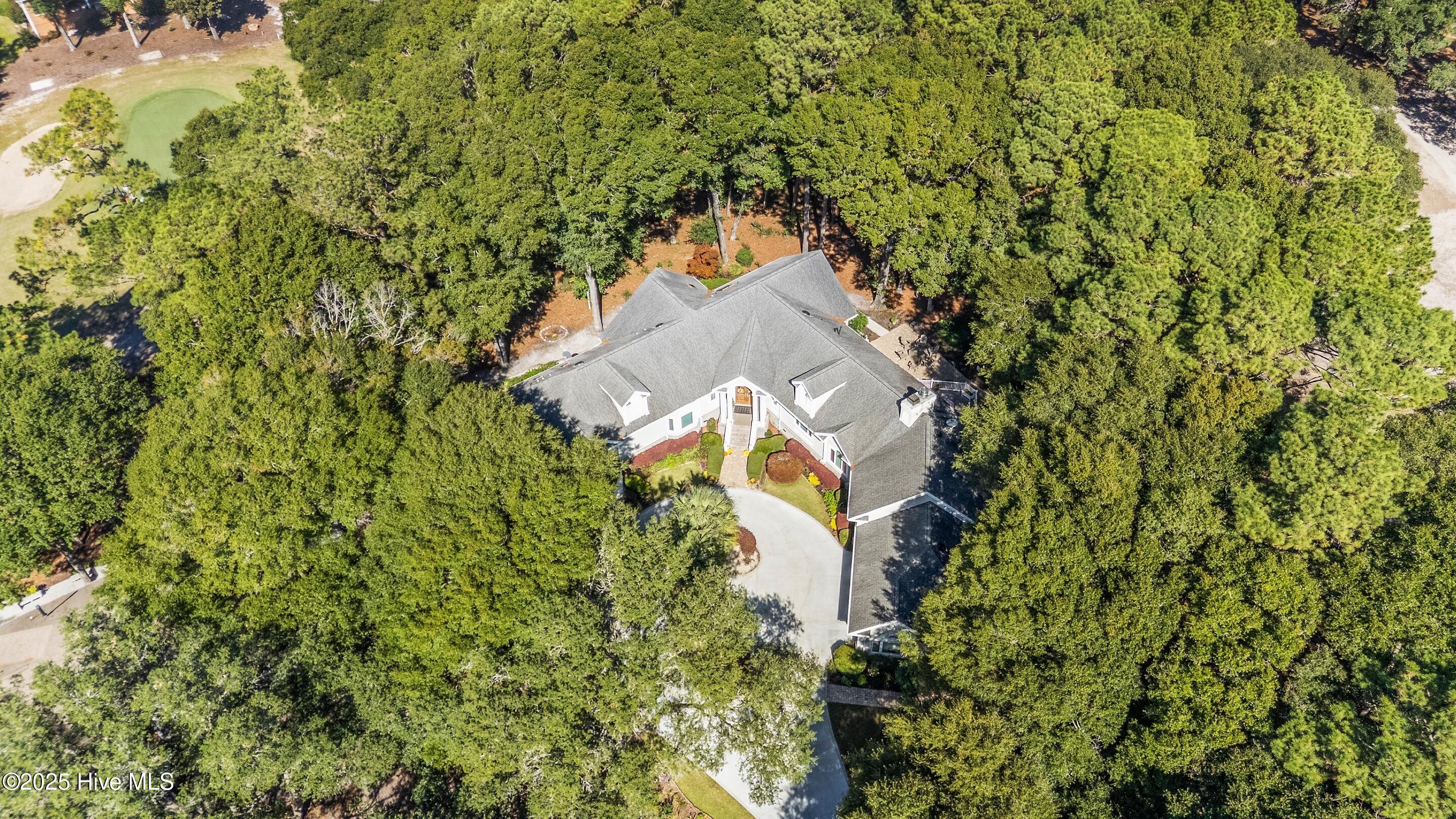 100539115 | Photo 17