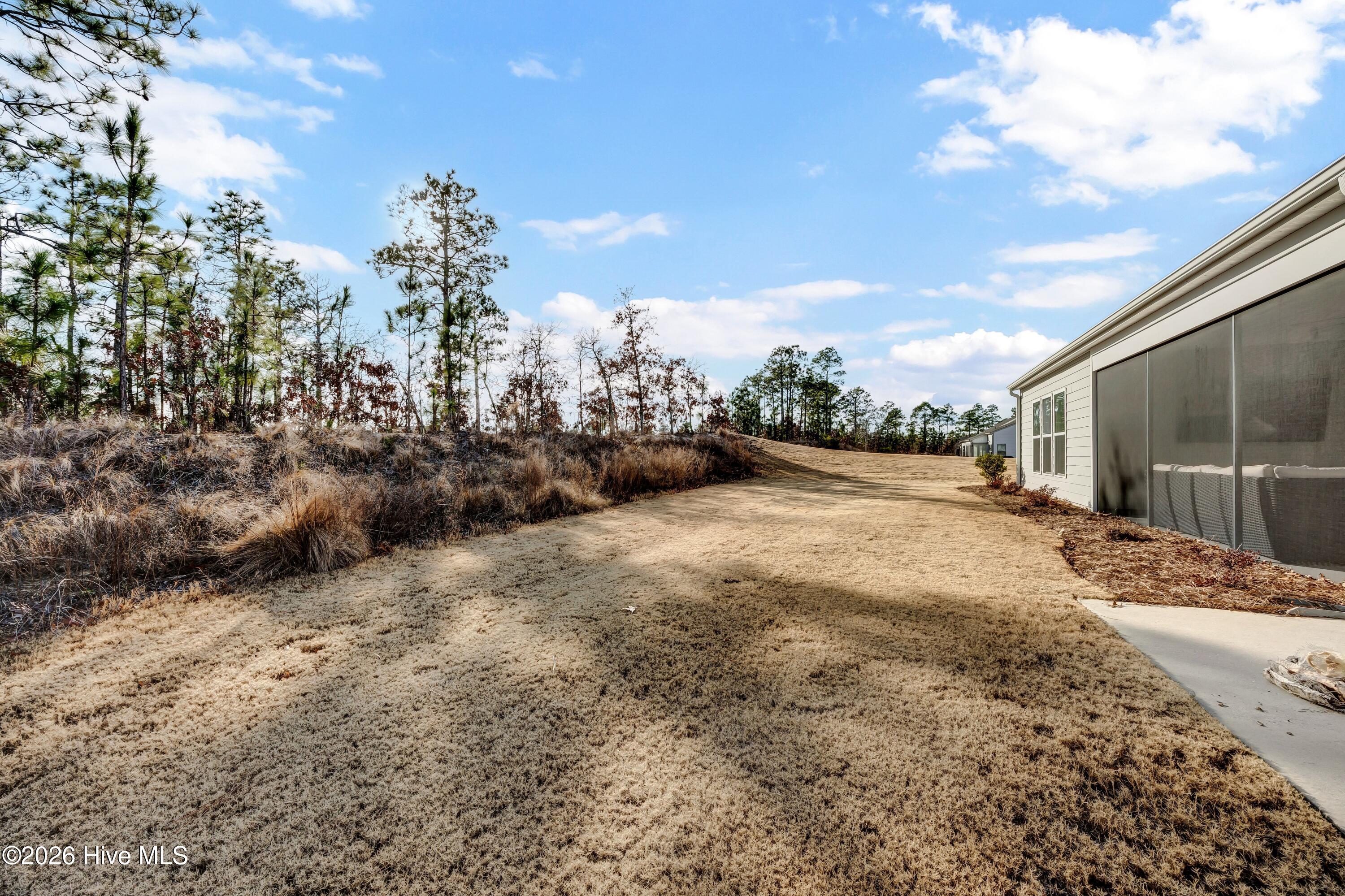 100547699 | Photo 24