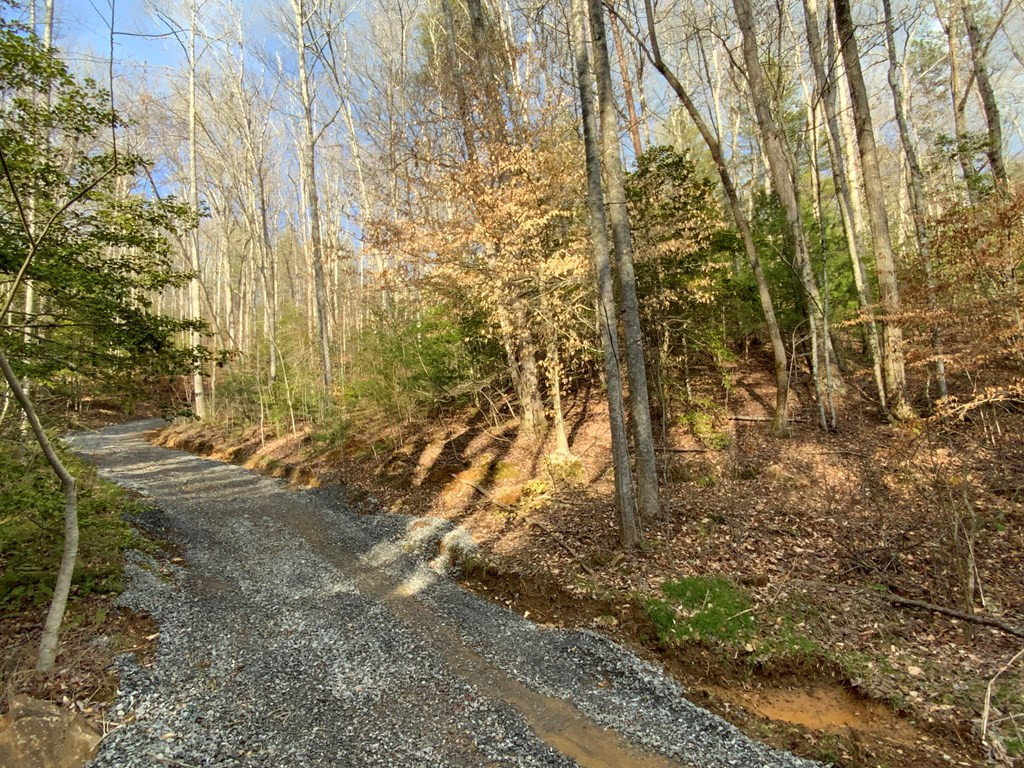 Exterior photo of Lot 9 9 Ivy Log Road, Murphy, NC 28906. MLS: 98543714