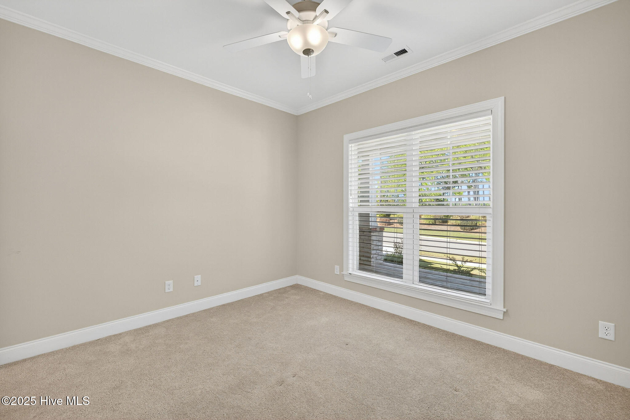 100529139 | Photo 27