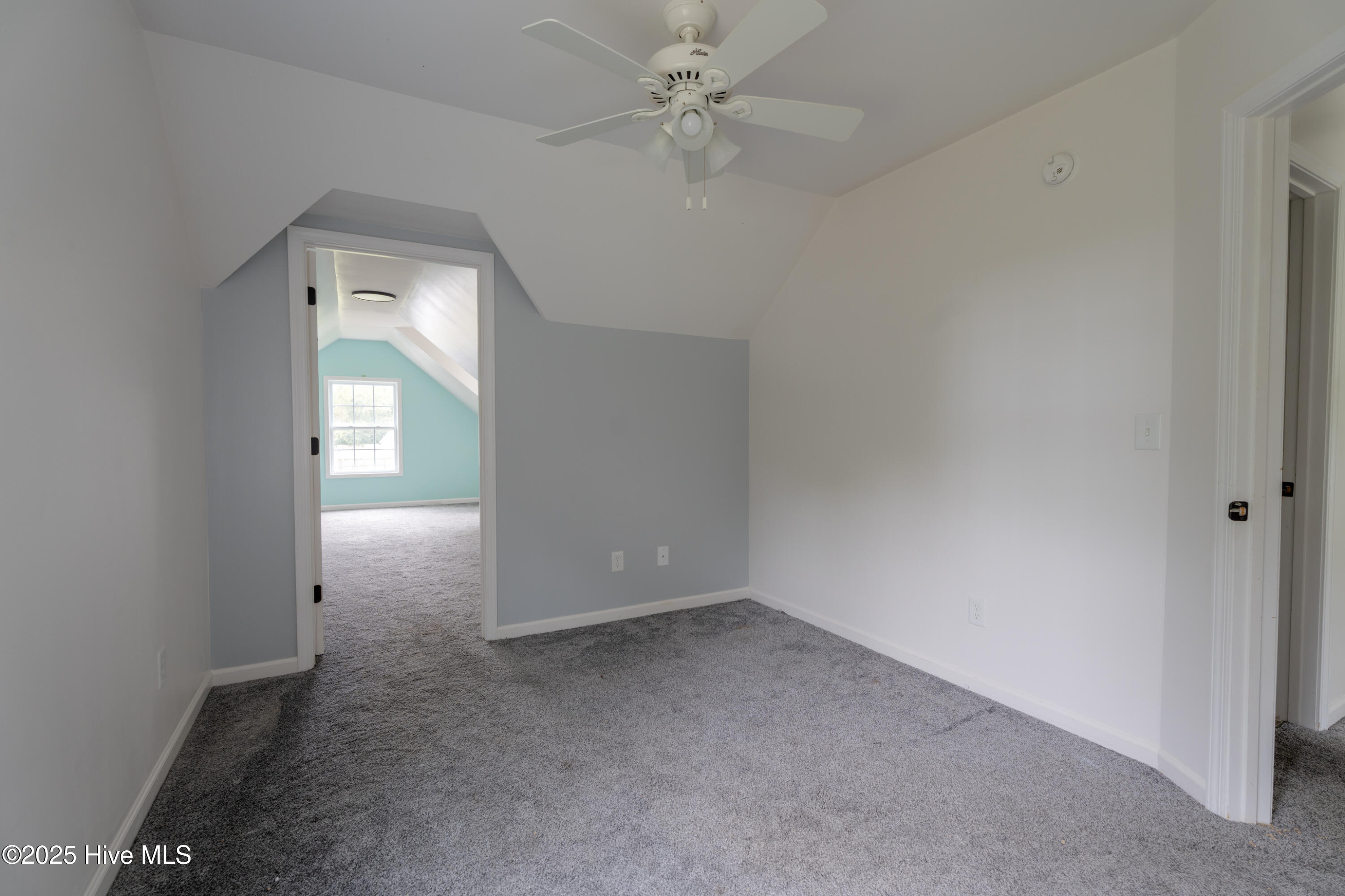 100536355 | Photo 19