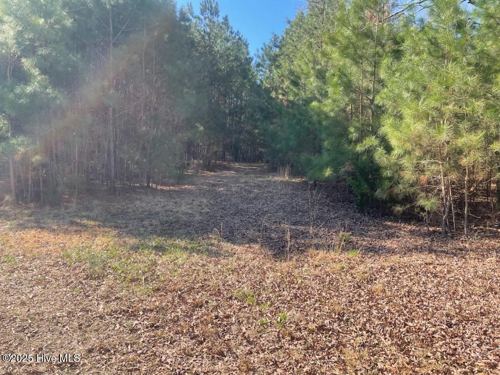 5635 Mckendree Church Road, Tarboro, NC, 27886