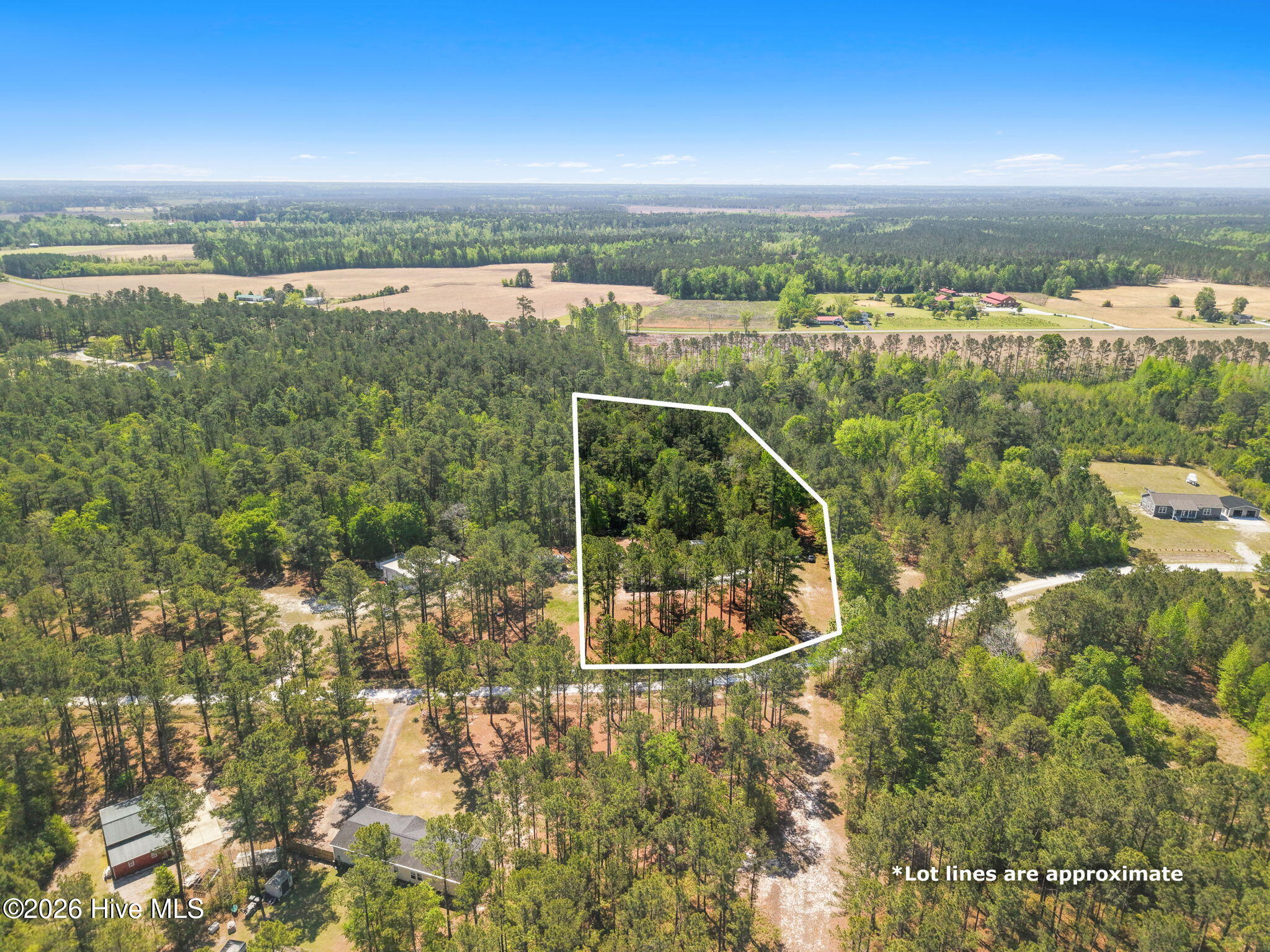 100567868 | Photo 33