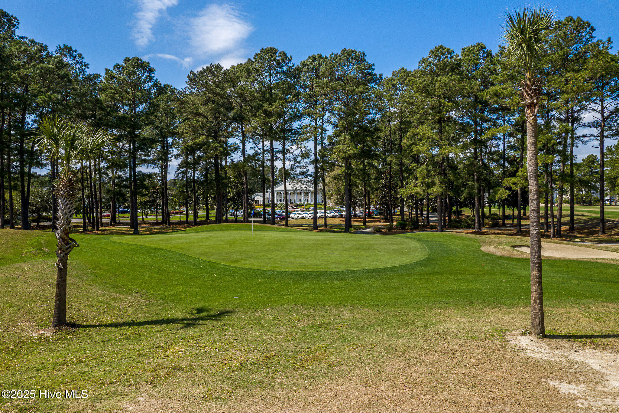 100565271 | Photo 26