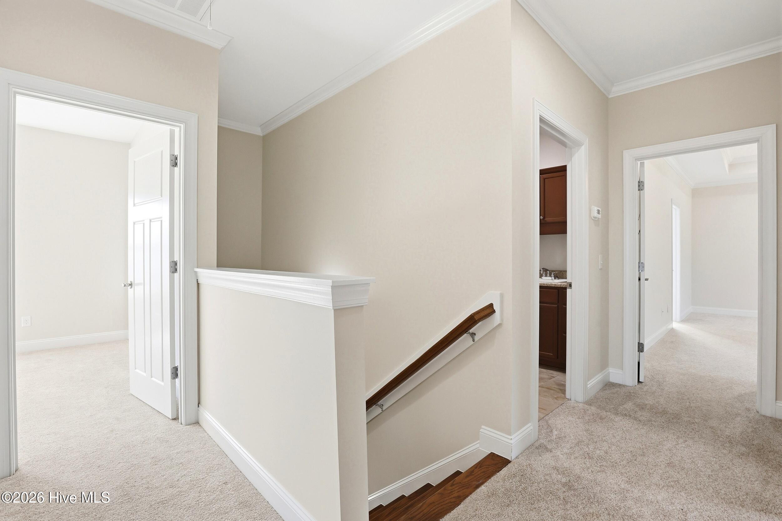 100569352 | Photo 44