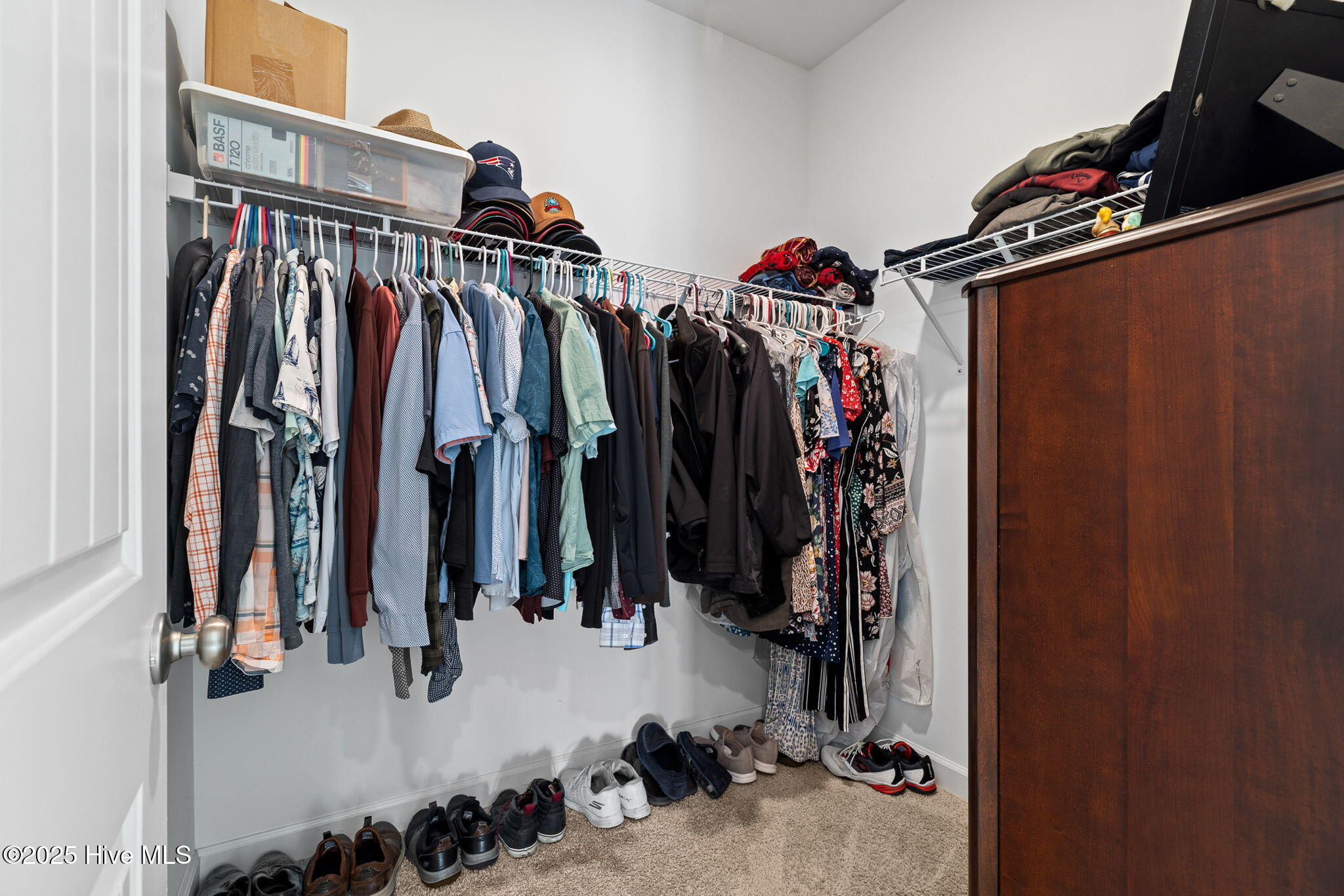 100541637 | Photo 34