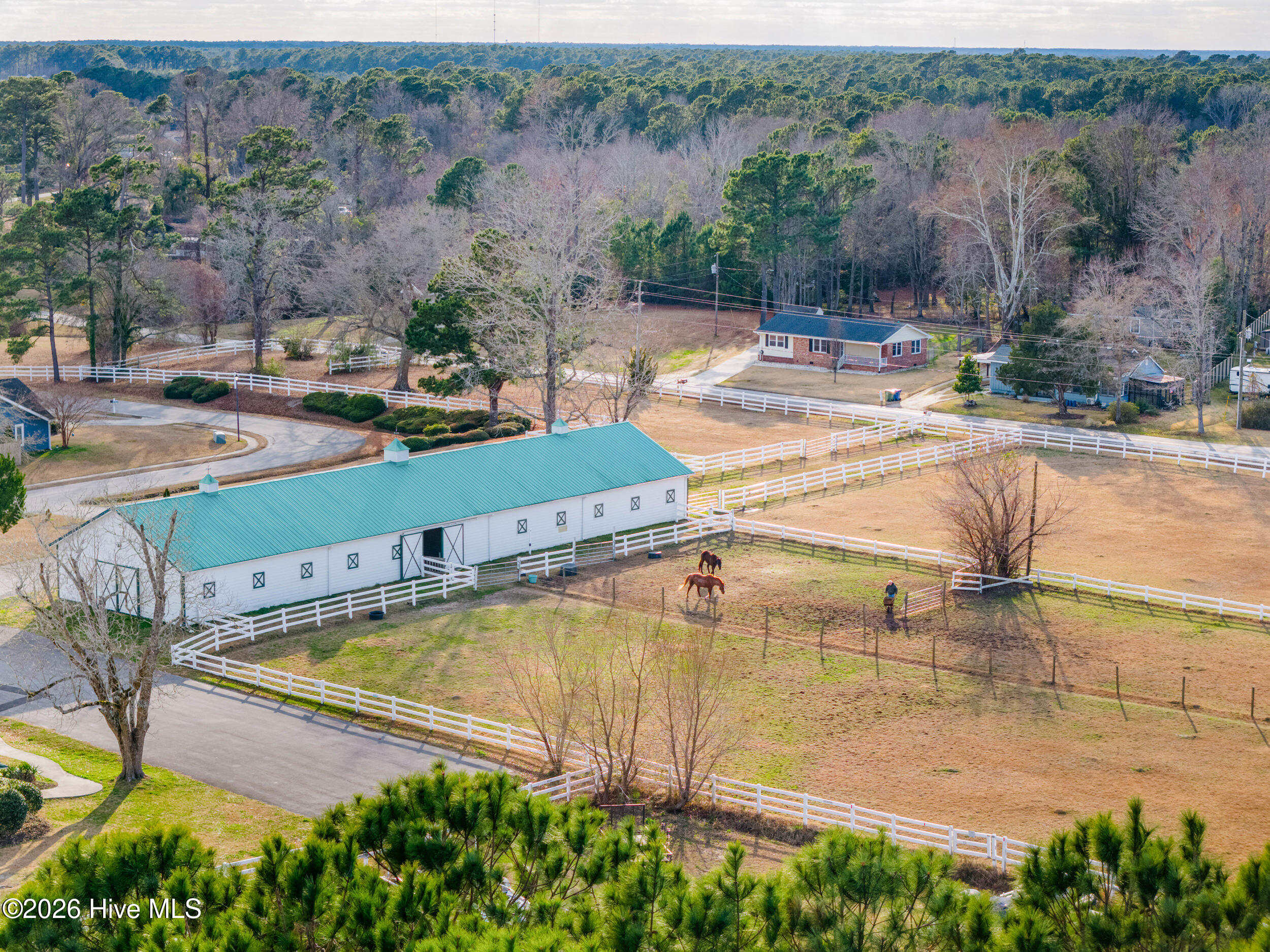 100561175 | Photo 33