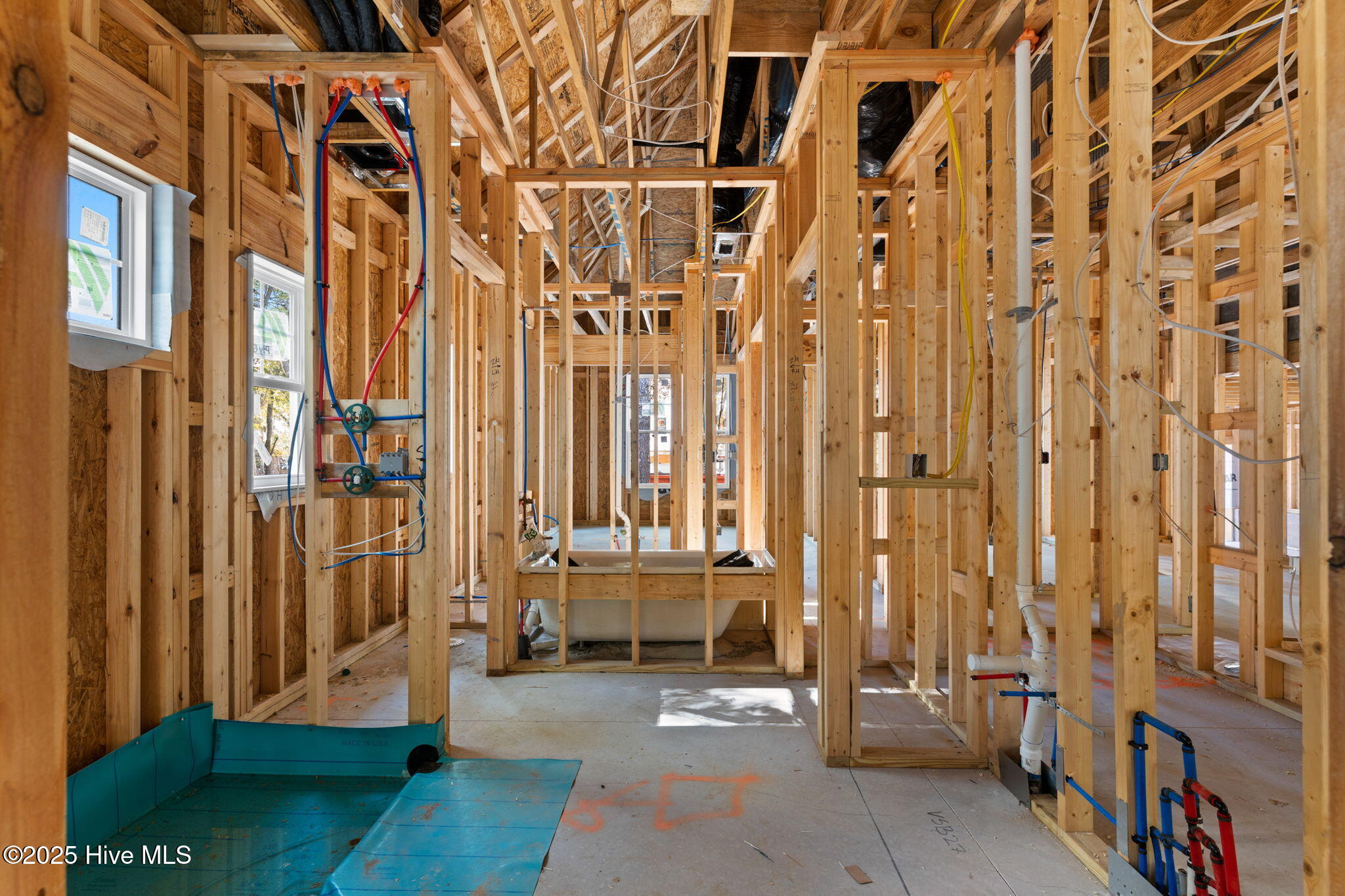 100546687 | Photo 14