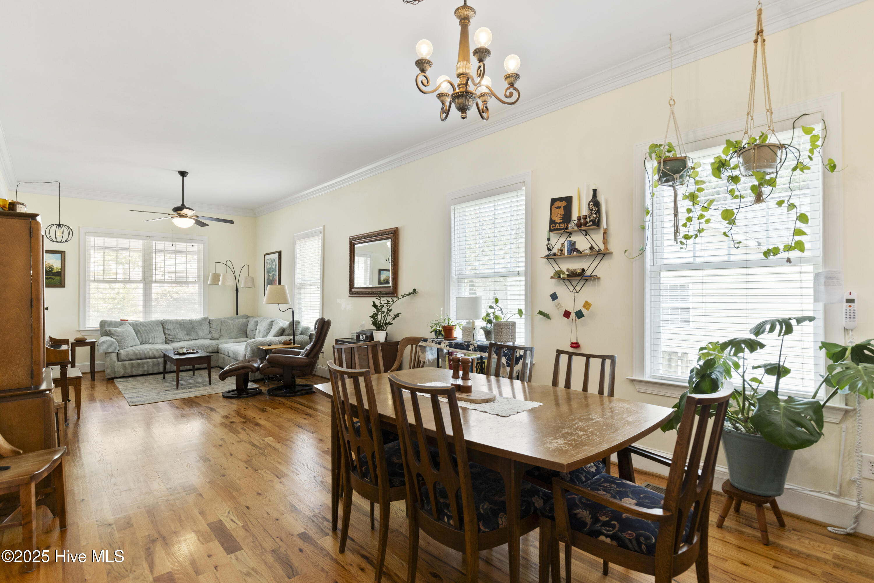 100516838 | Photo 13