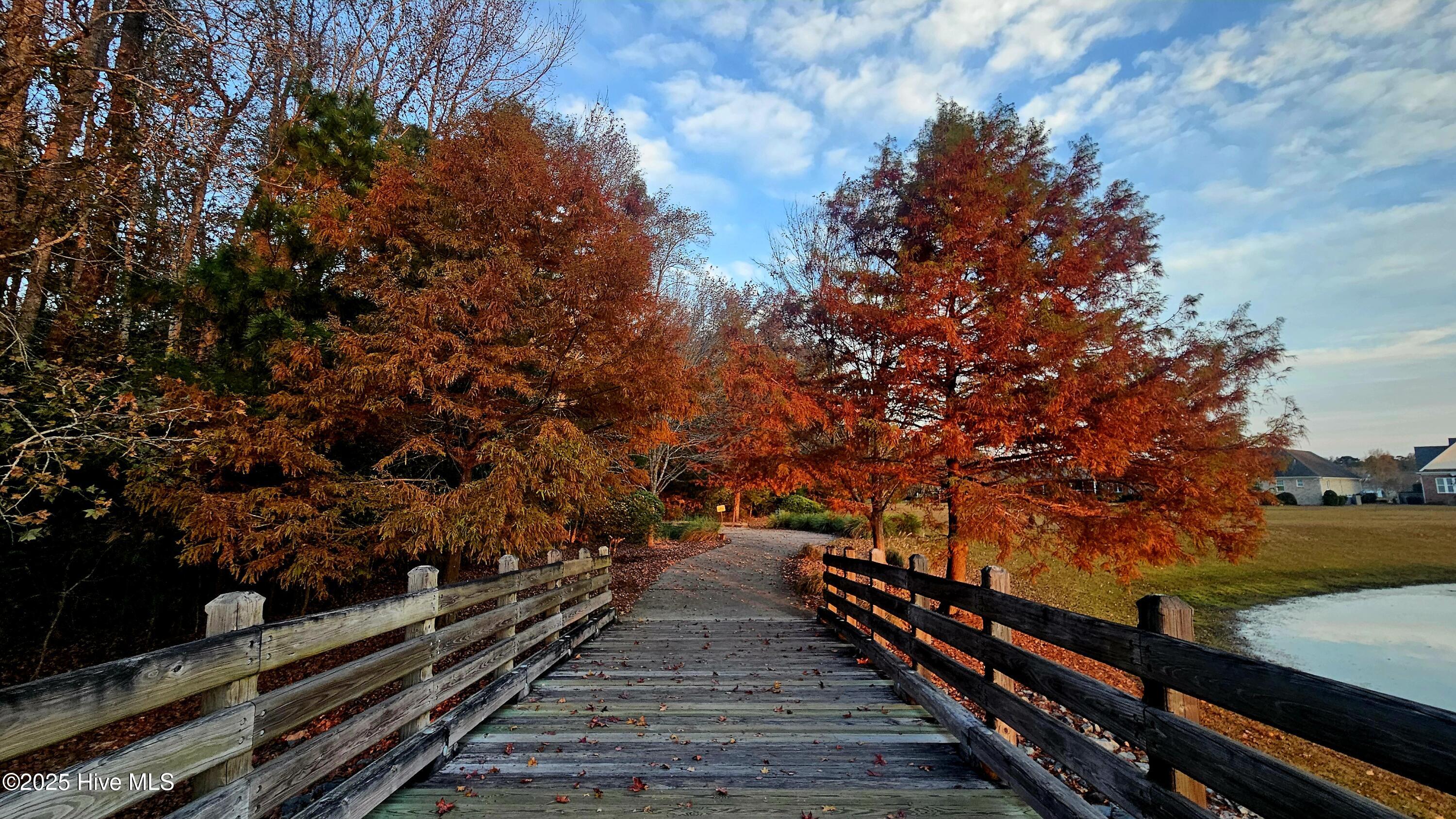 100545391 | Photo 53