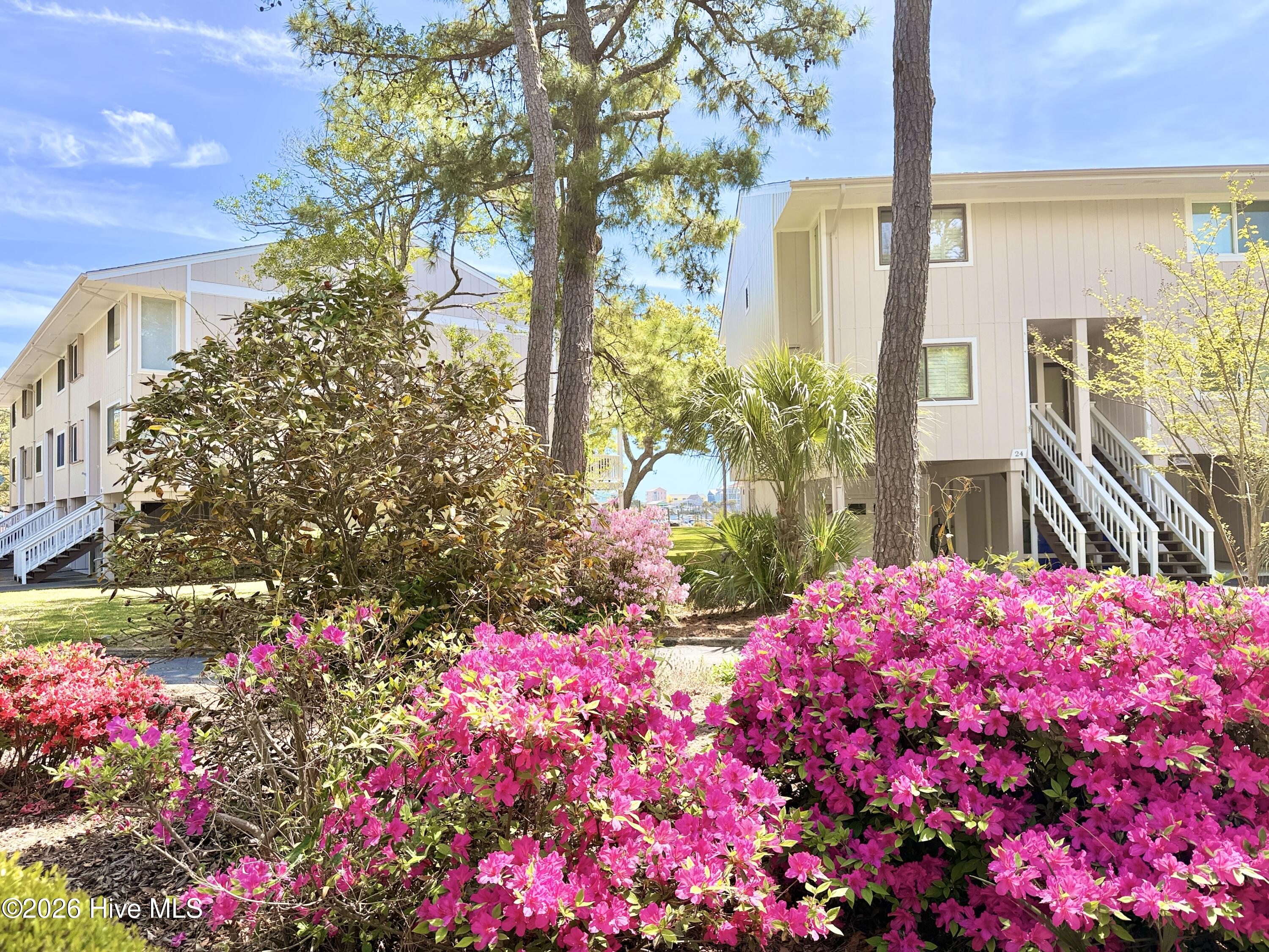 100570413 | Photo 51