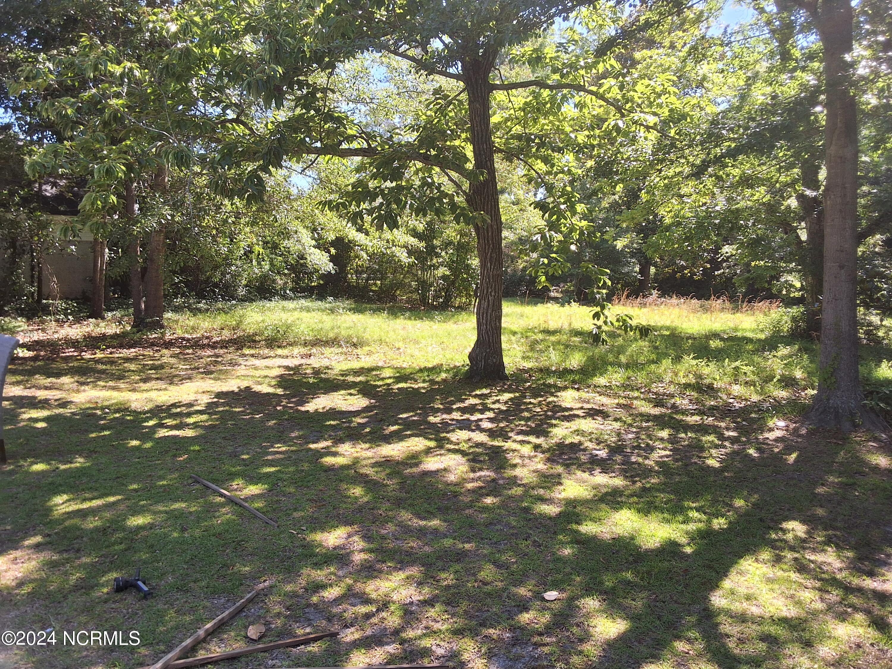 201 E Bell Street, Tabor City, NC, 28463