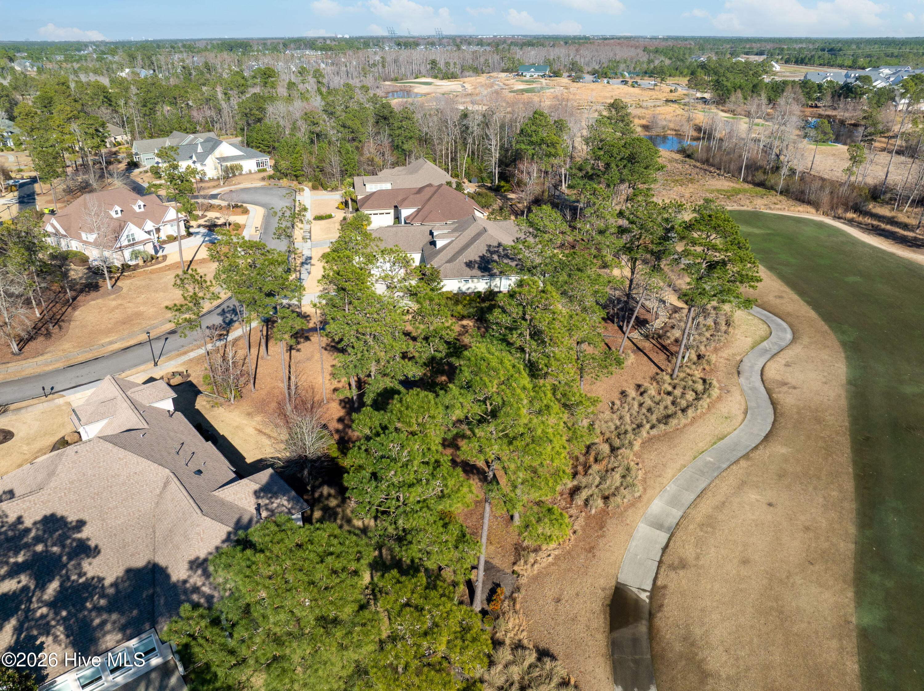 100557146 | Photo 31