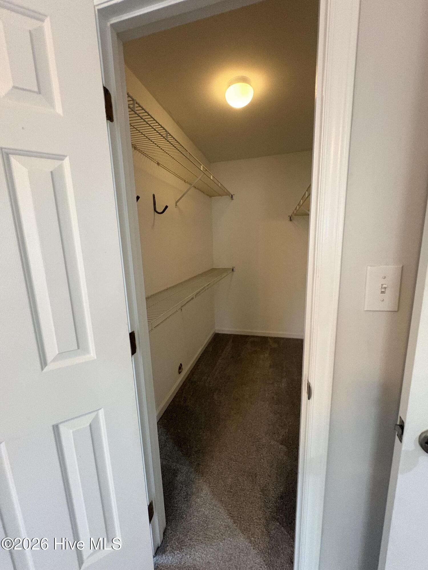 100537182 | Photo 17