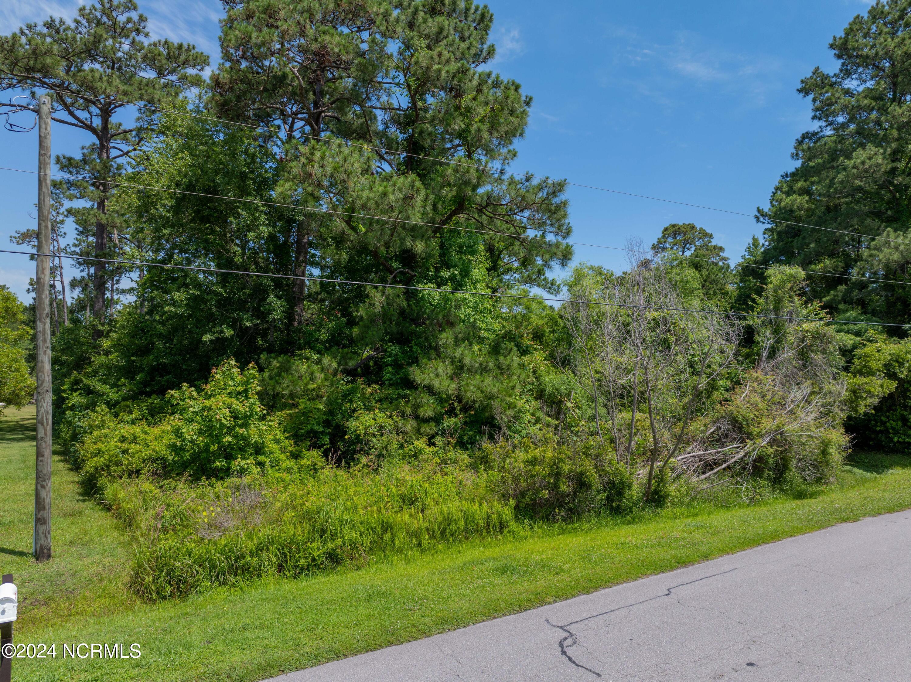 100559086 | Photo 25