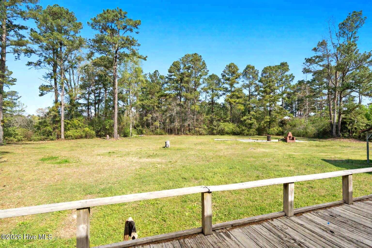 100562957 | Photo 10