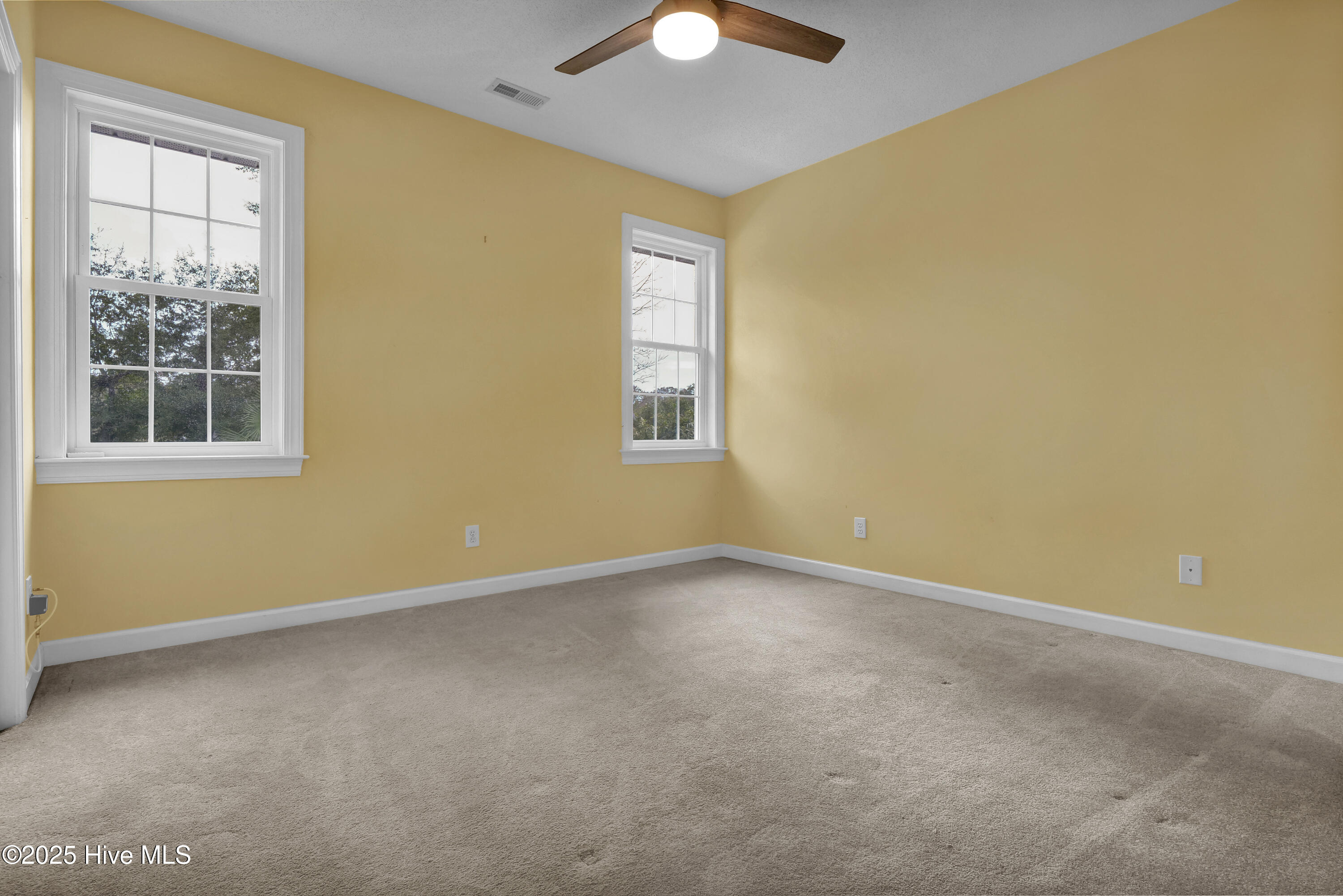 100543498 | Photo 31