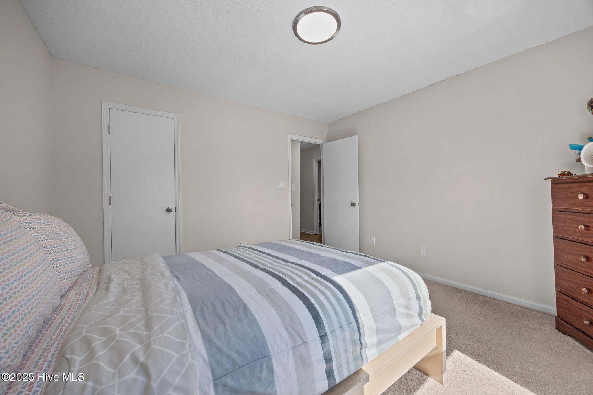 100515251 | Photo 12