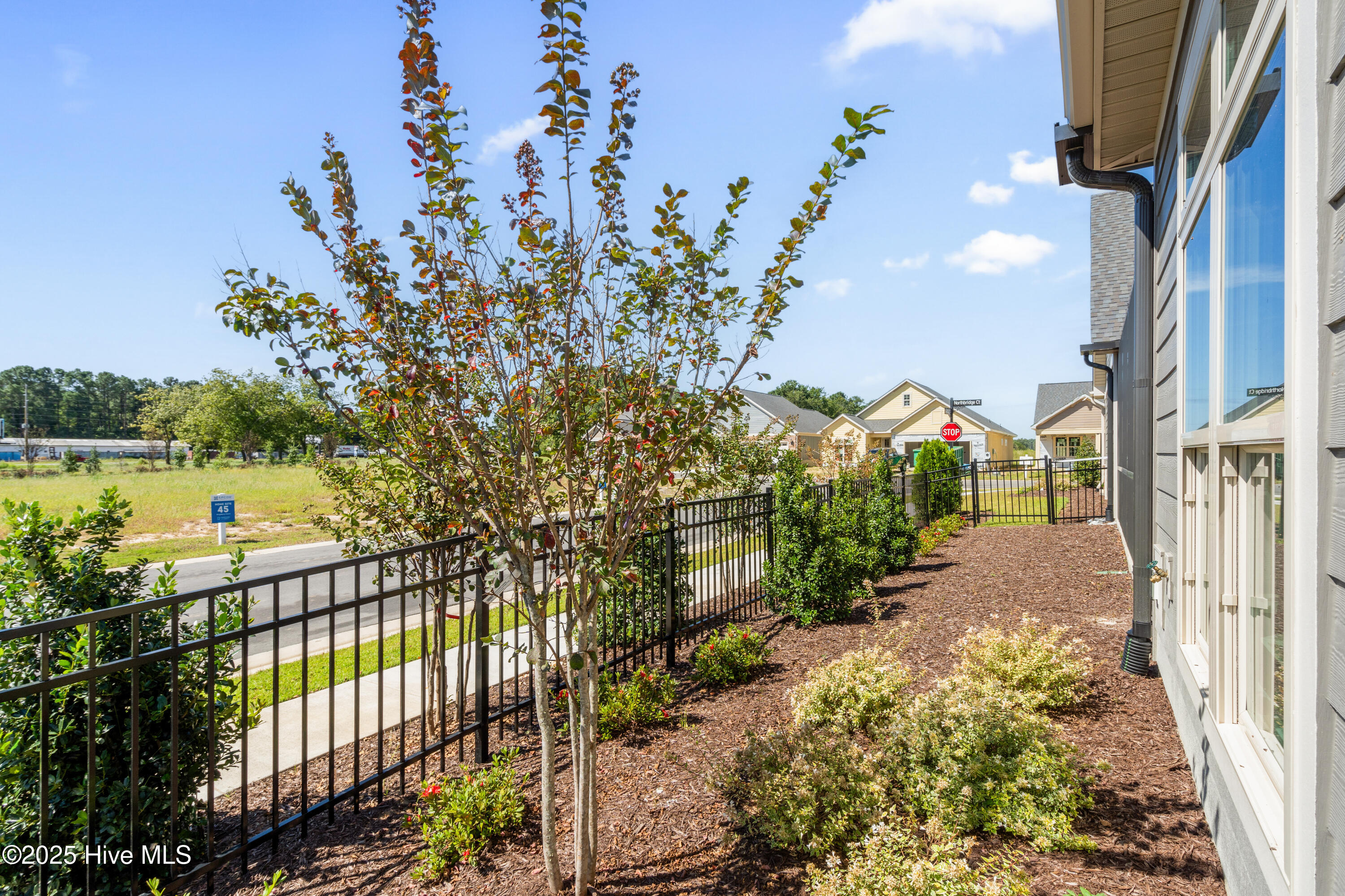 100496810 | Photo 25