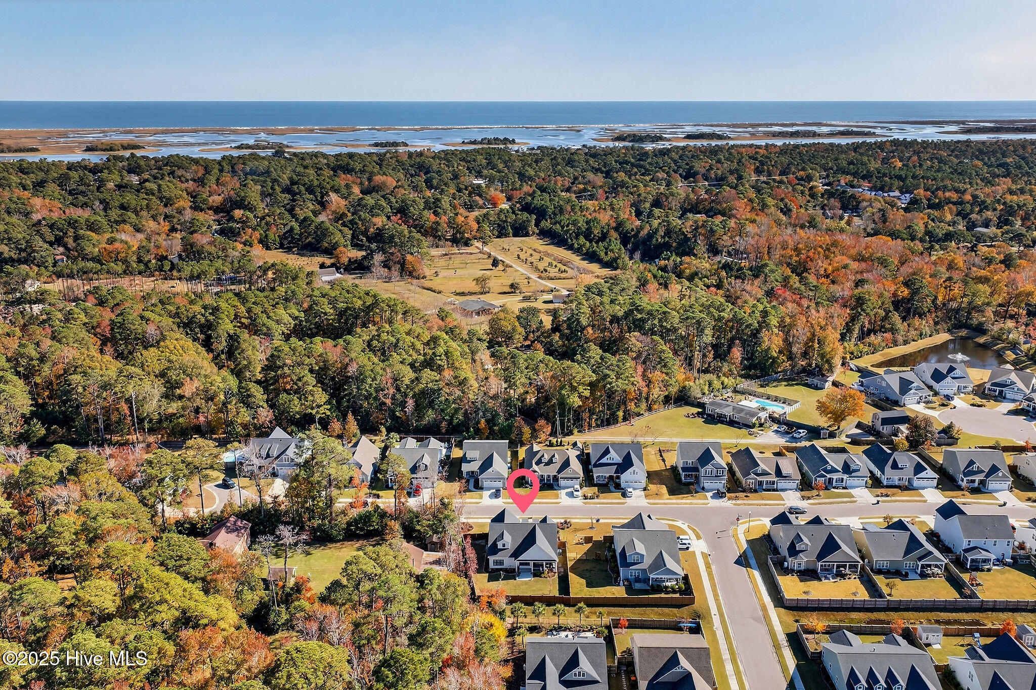 100541568 | Photo 56