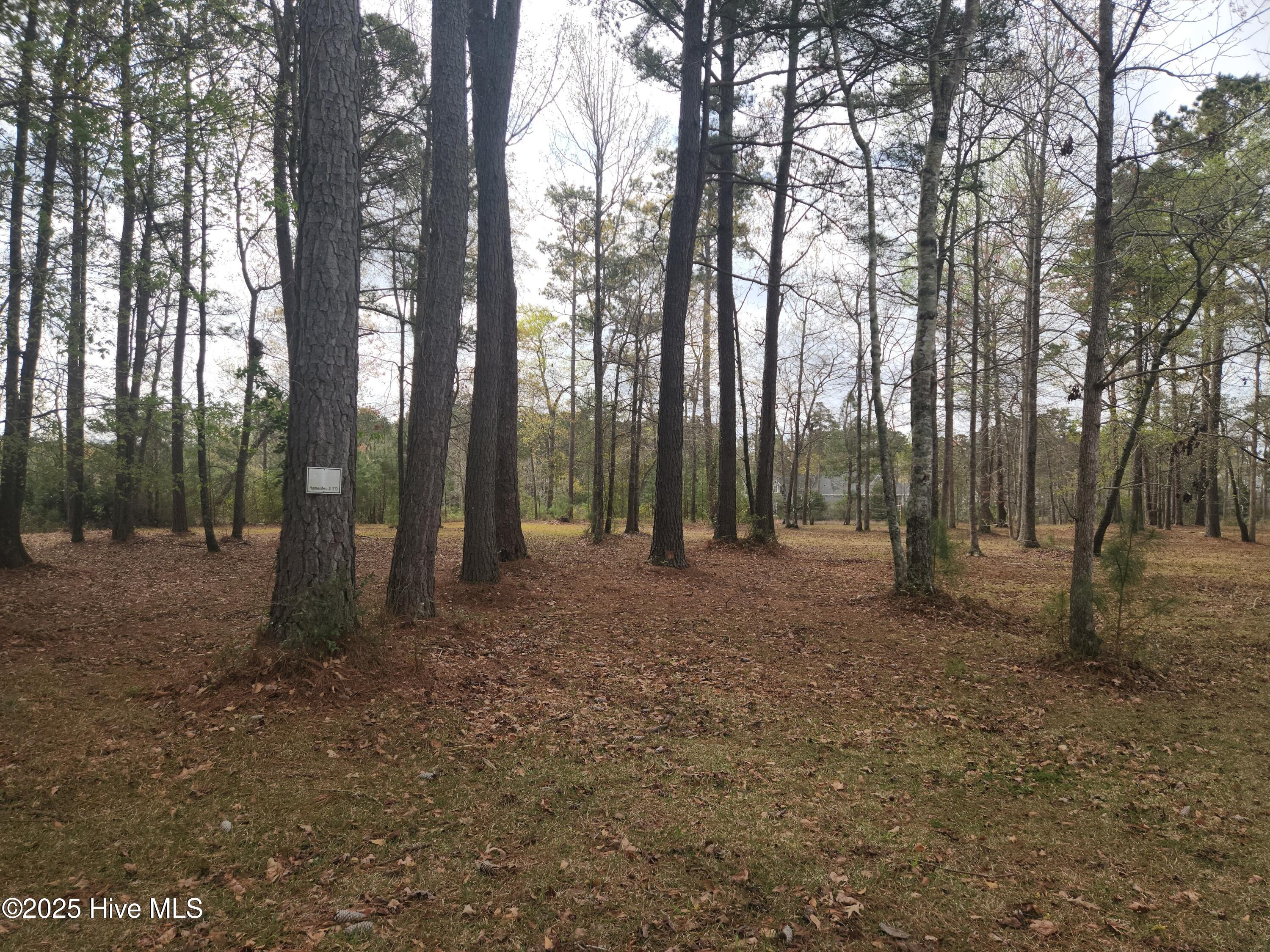 View of lot from road