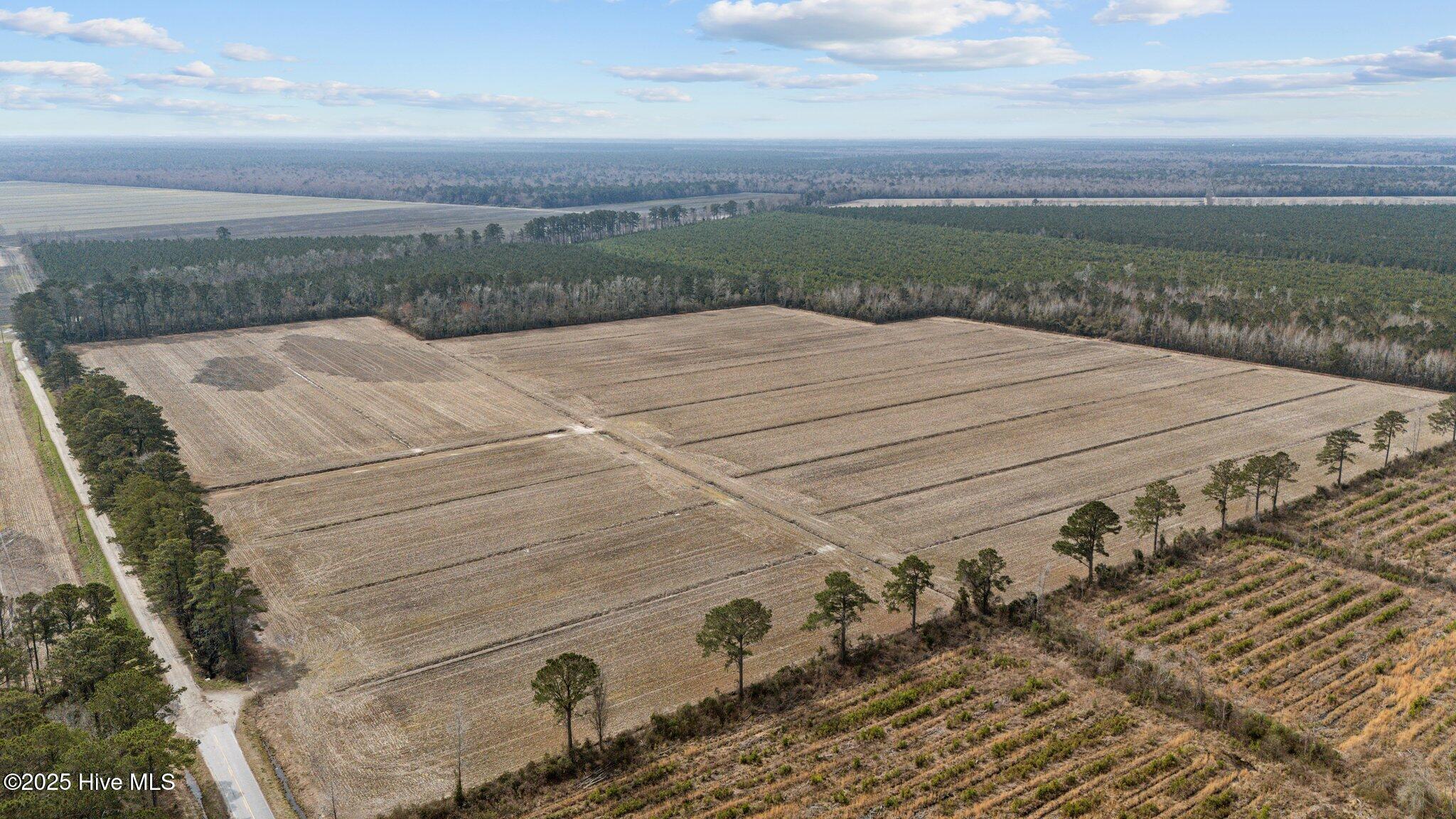 Neals Creek Road Bayboro, North Carolina GREAT CULTIVATED ACREAGE W/DEVELOPMENT POTENTIAL CONVENIENT TO NEW BERN!!
67.14 acres of prime farmland and woods in the heart of Pamlico County! Convenient to everything with frontage at the end of state-maintained Neals Creek Road. This property lays well, ditched and maintained with positive drainage to a large lead ditch. This is an opportunity to have it all! The property is UNRESTRICTED by deed, with the possibility of engineering an extension to the County sewer and water systems for a subdivision or business location... You couldn't ask for a better combination of proximity to services (fewer than 5 miles to the intersection of Rt. 55 and Rt. 306) and an easy commute to New Bern! Let your dreams be your guide... A perfect spot for an equestrian center, farm, RV resort or a residential development! The property is not in the 100-year flood zone, so flood insurance won't be required, and the land lends itself to slab construction. If you've sought an inspirational location that's both private, convenient and accessible, this would be it! Approximately 52 acres is cleared and under cultivation, with the balance (approx. 15.14 acres at the rear of the property) is wooded. Just down the street from the Pamlico County schools... A great opportunity and an exceptional investment value!