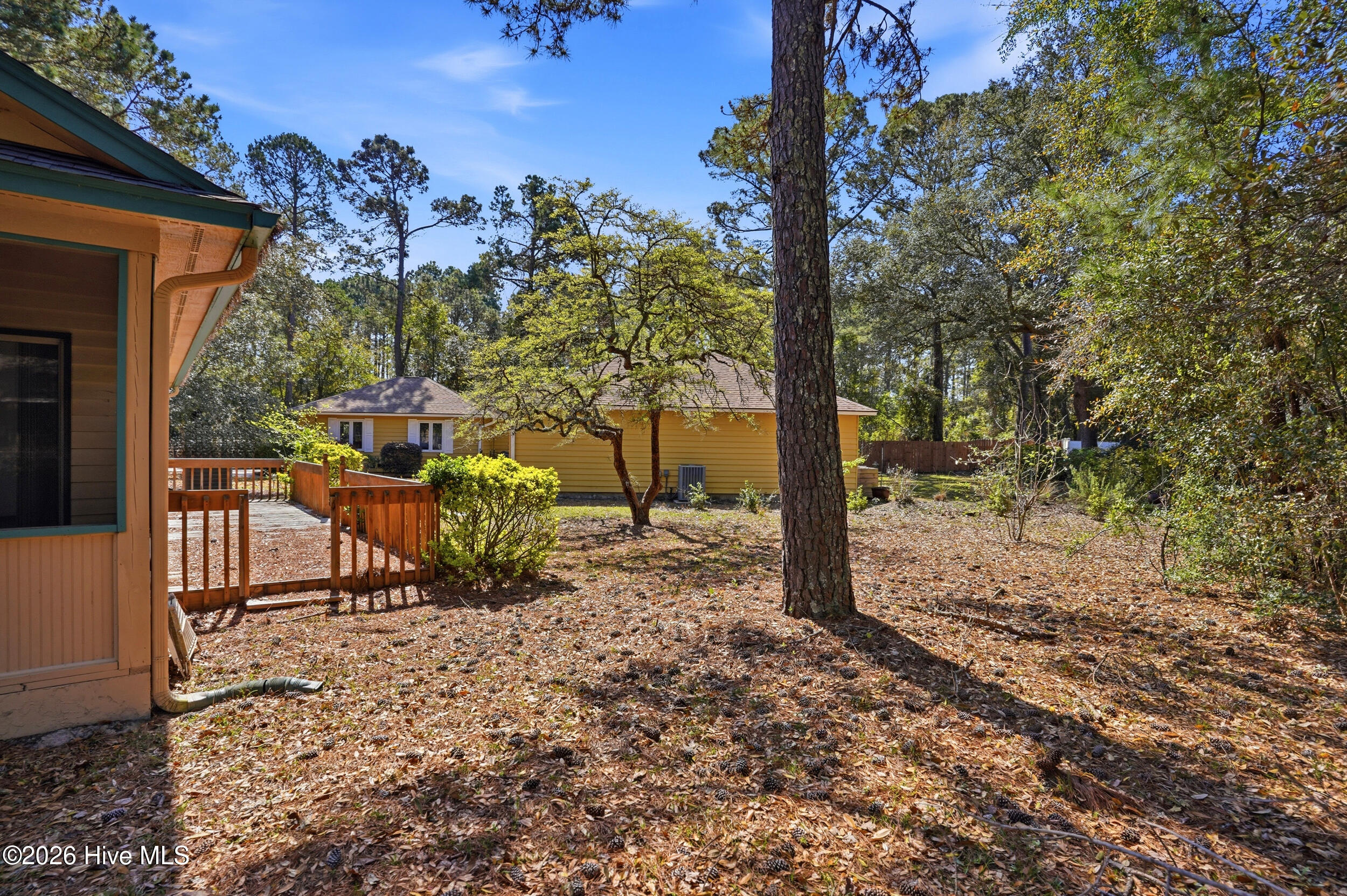 100564154 | Photo 37