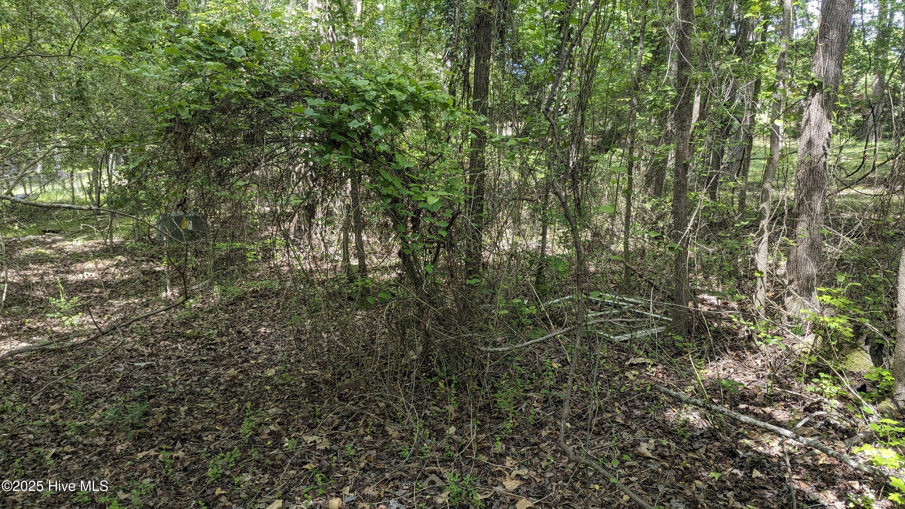 PXL_20240427_192859235