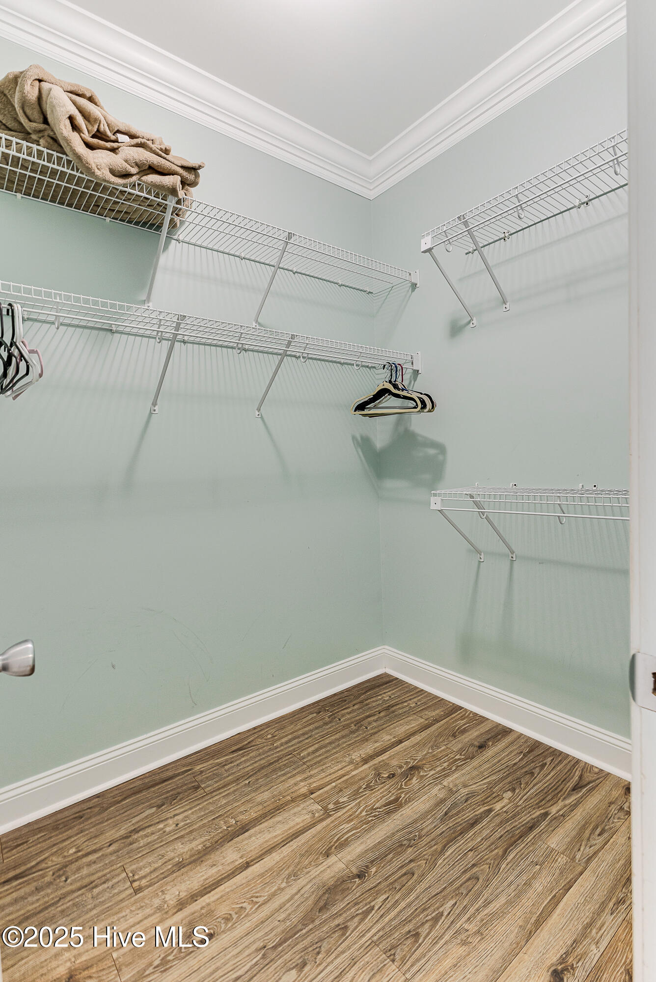 100515525 | Photo 23