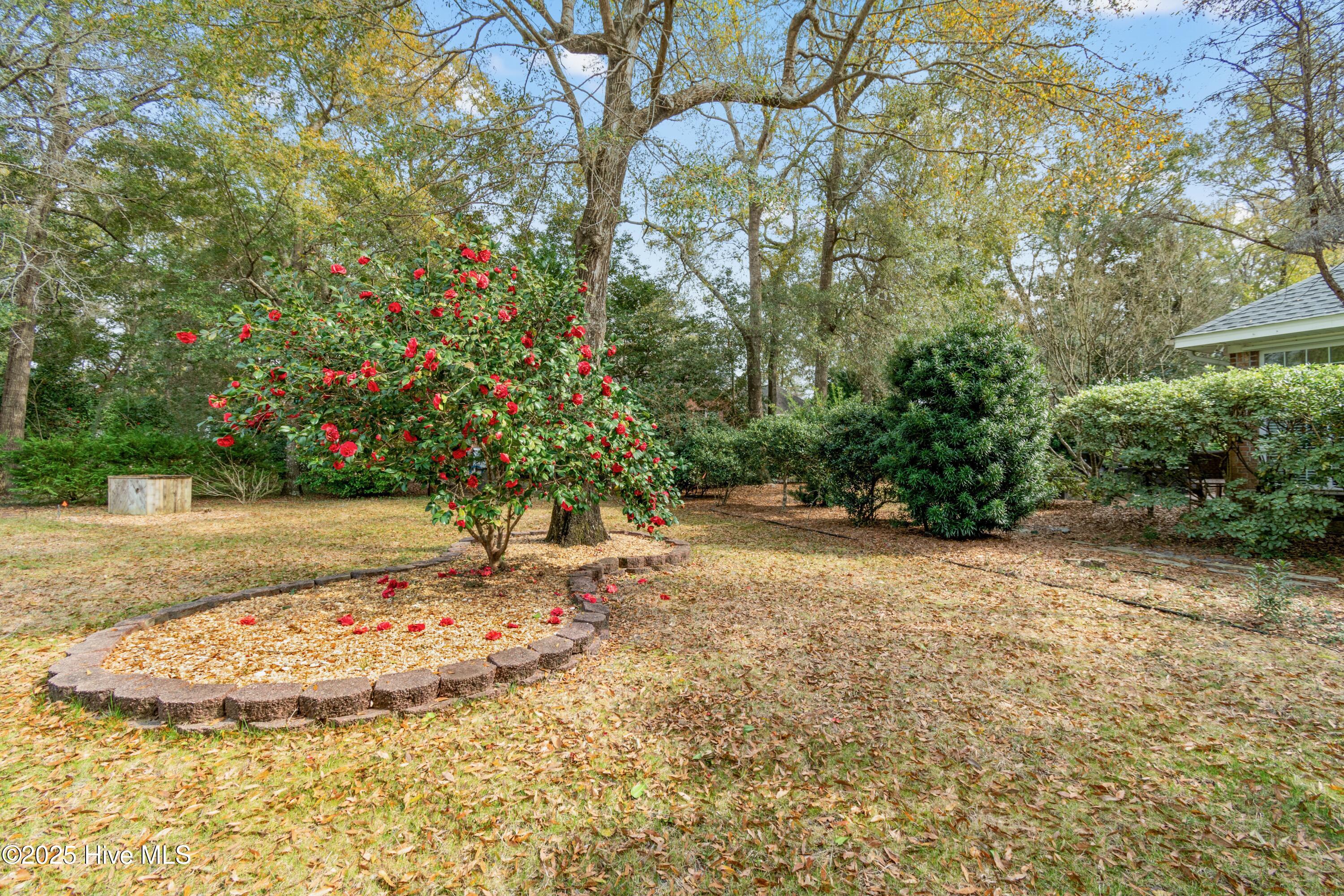 100556146 | Photo 43