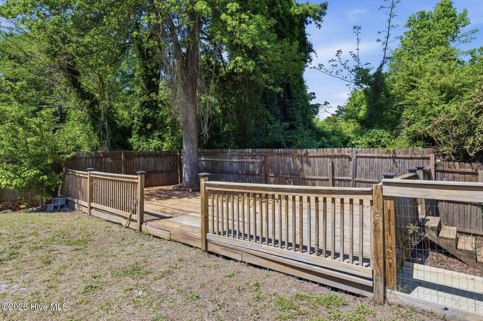 100568997 | Photo 36