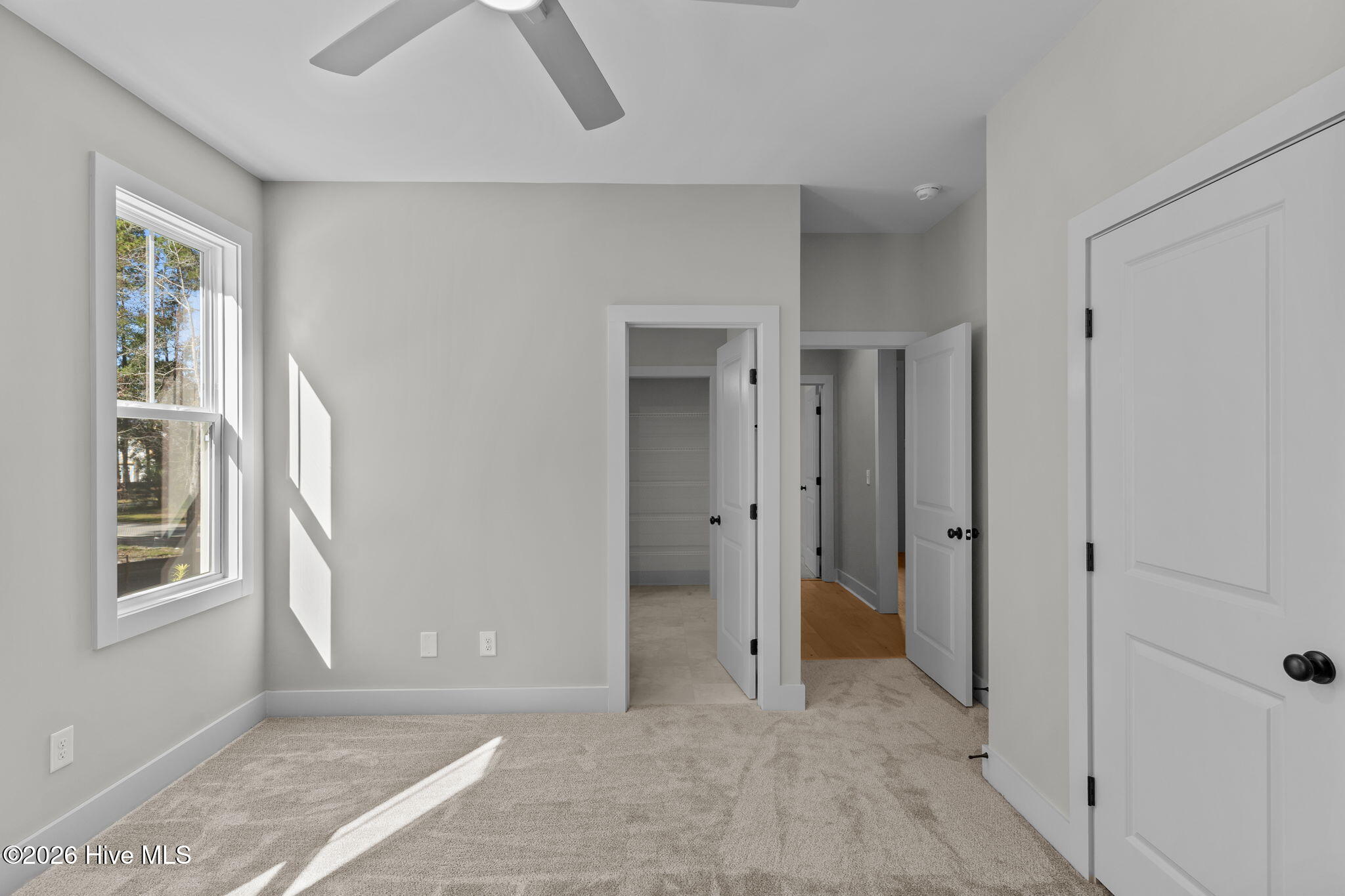 100548925 | Photo 43