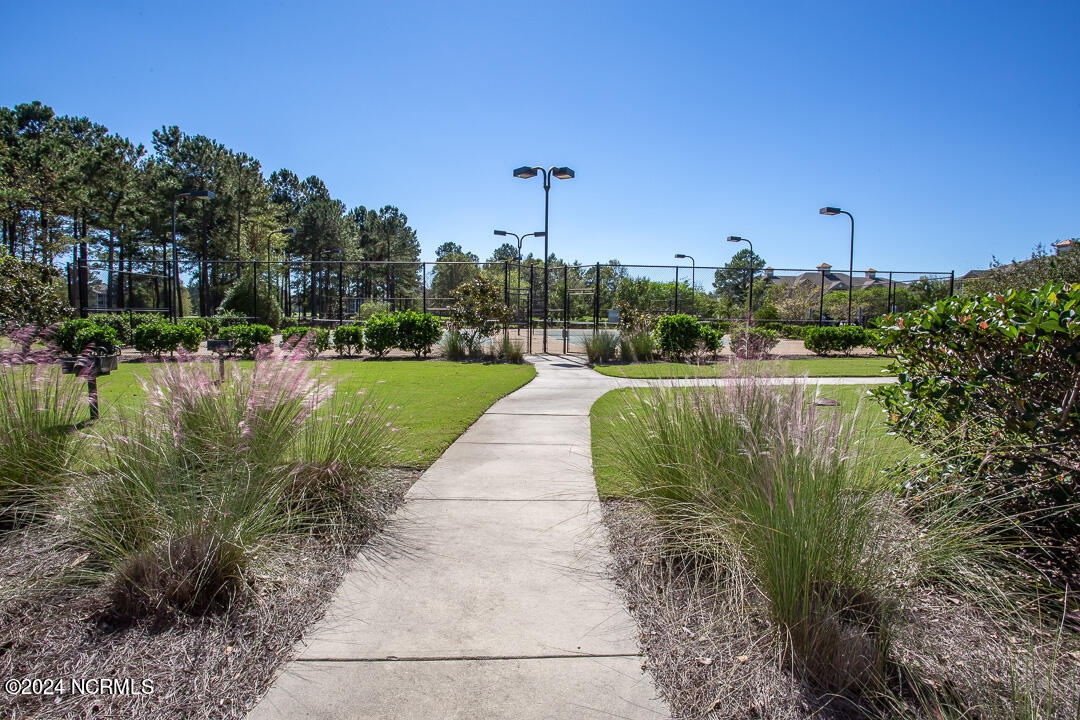 100467747 | Photo 25