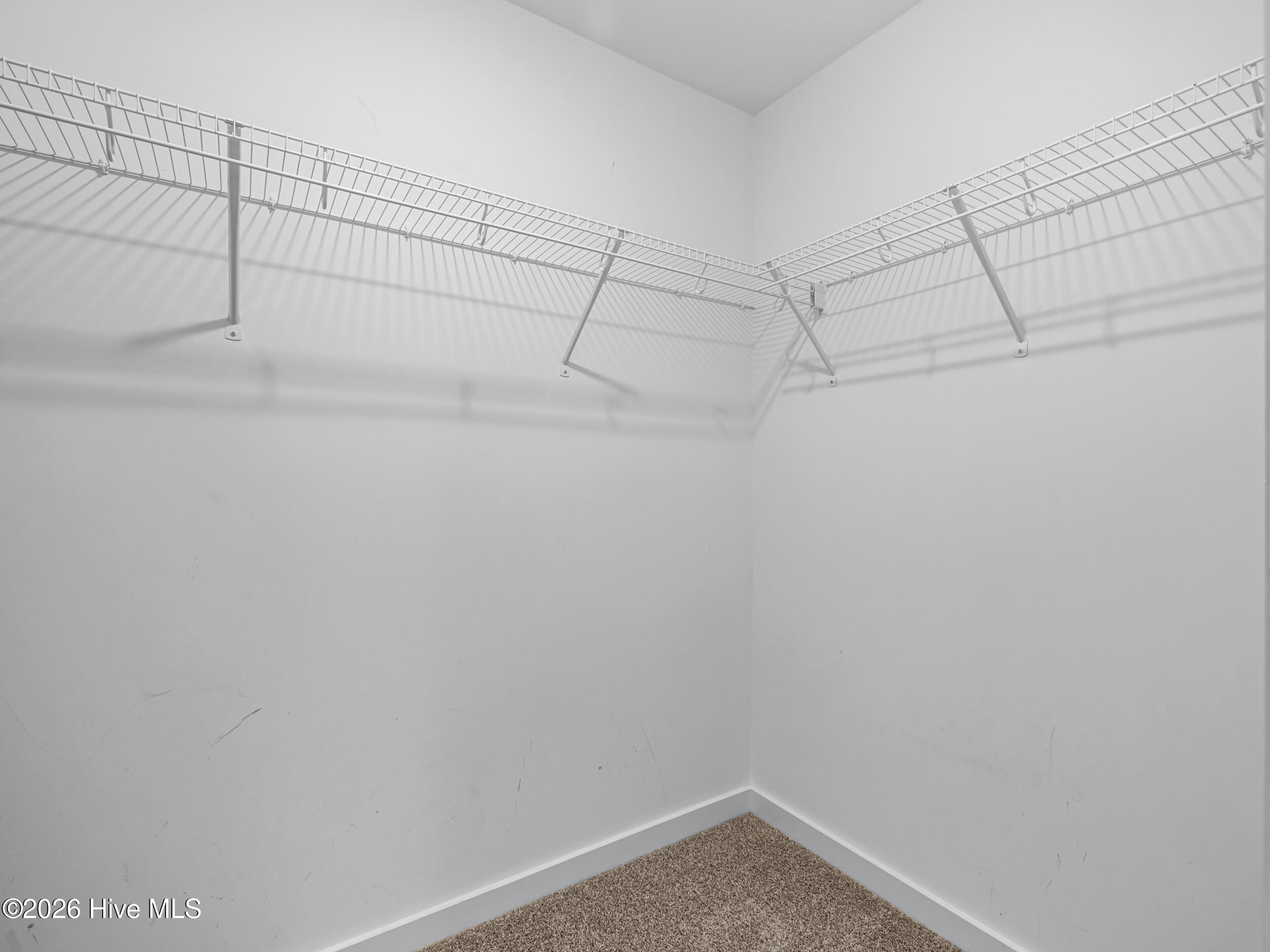 100572477 | Photo 27