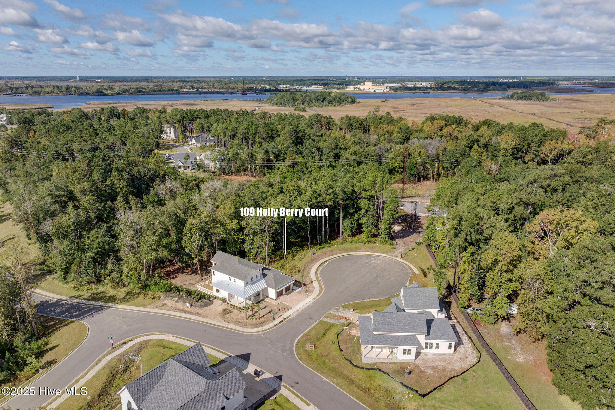 100537676 | Photo 12