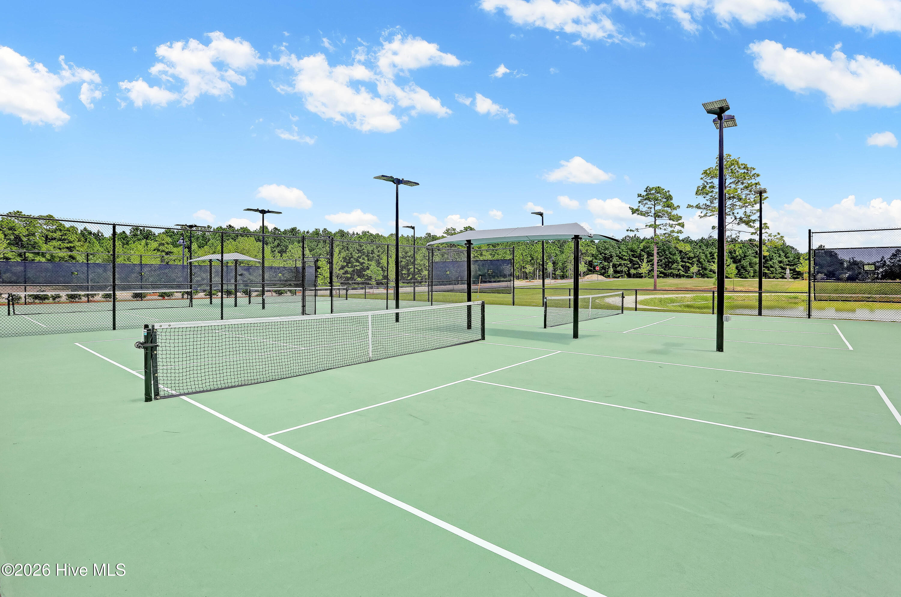 100558115 | Photo 46