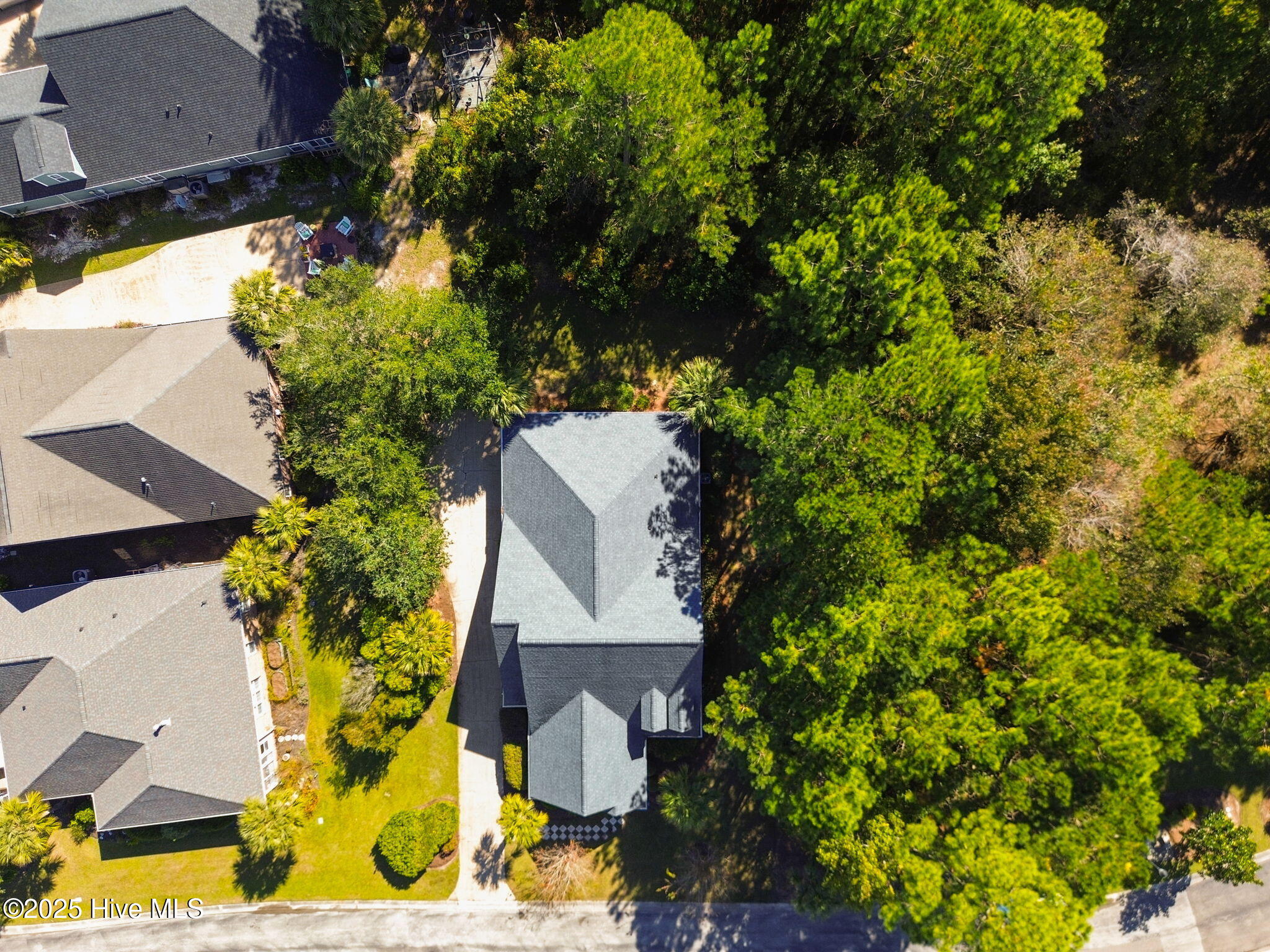 100538167 | Photo 38