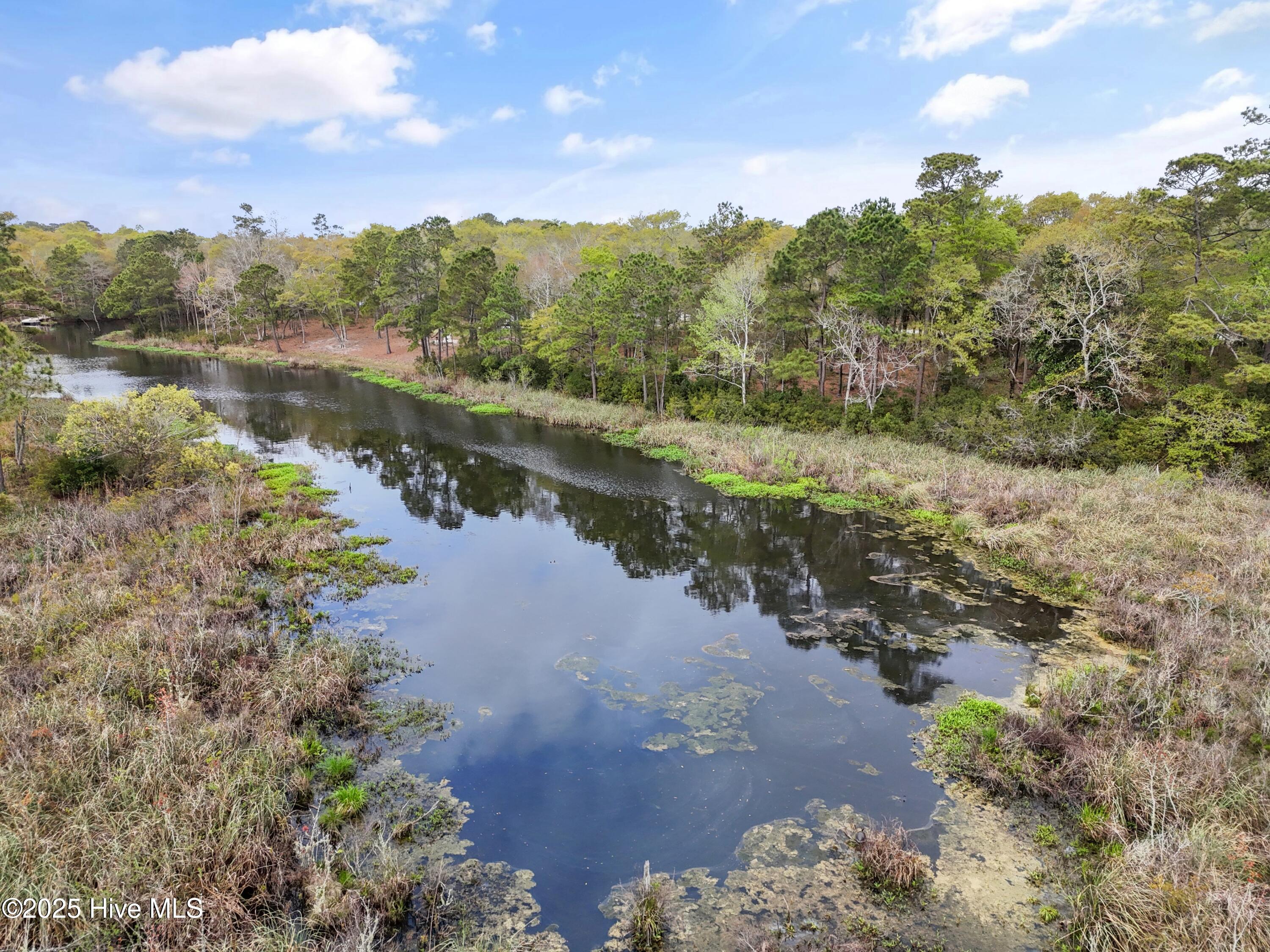 100520830 | Photo 75