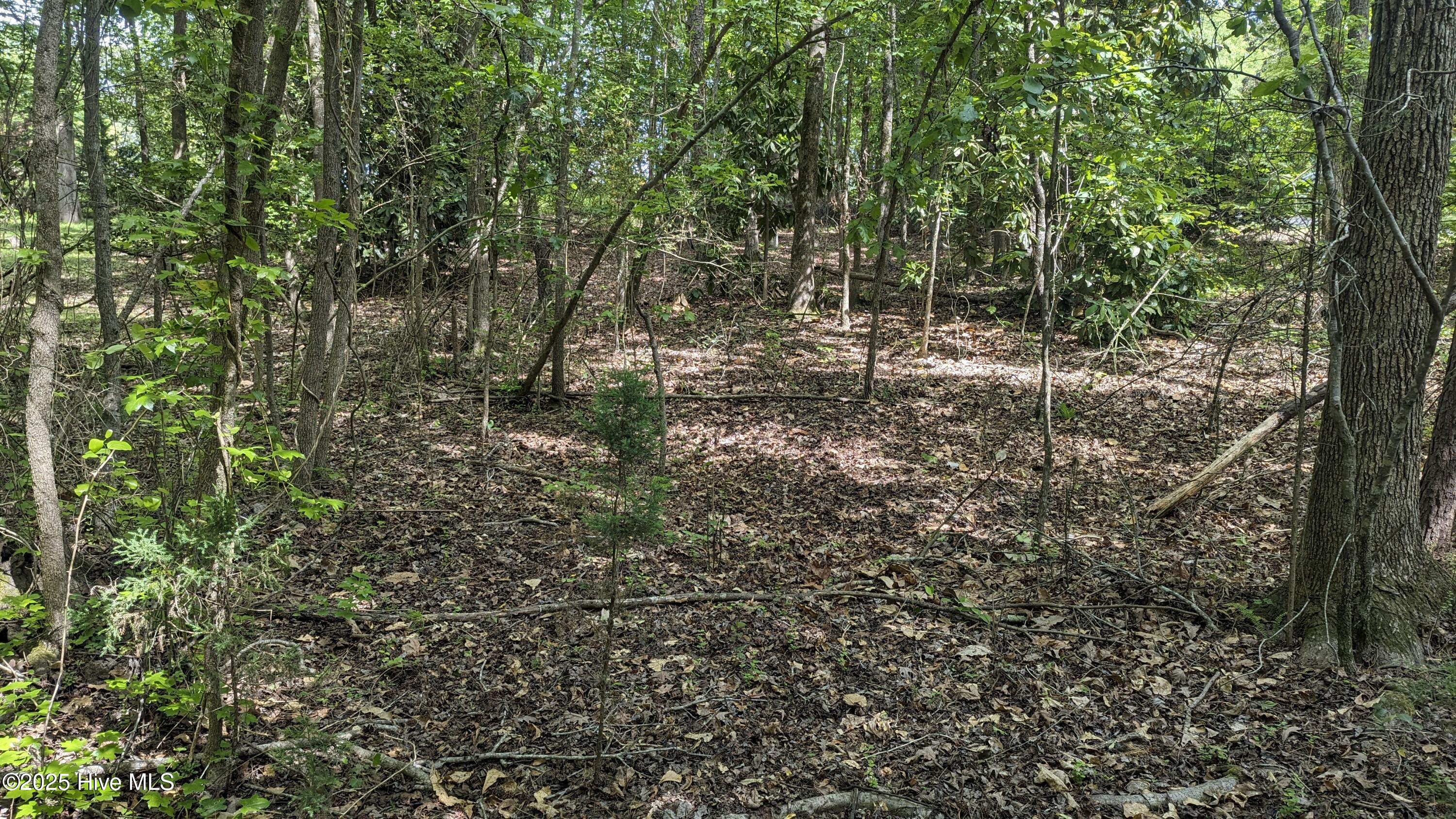 PXL_20240427_192902297