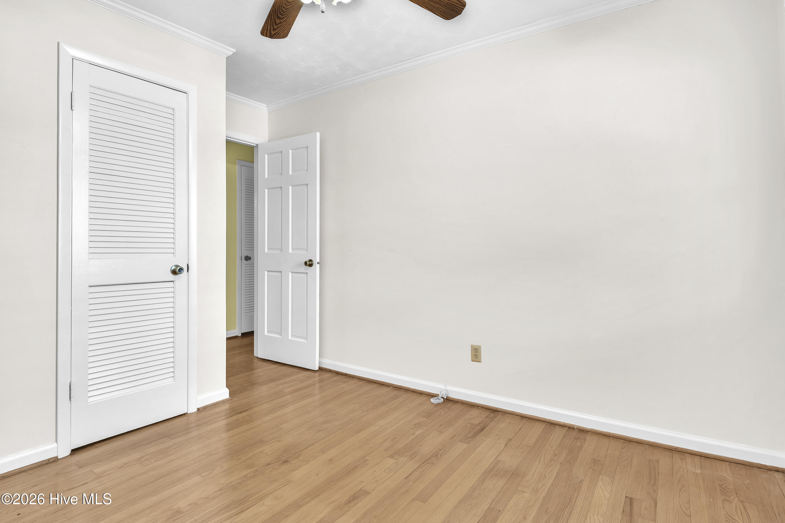 100555841 | Photo 27