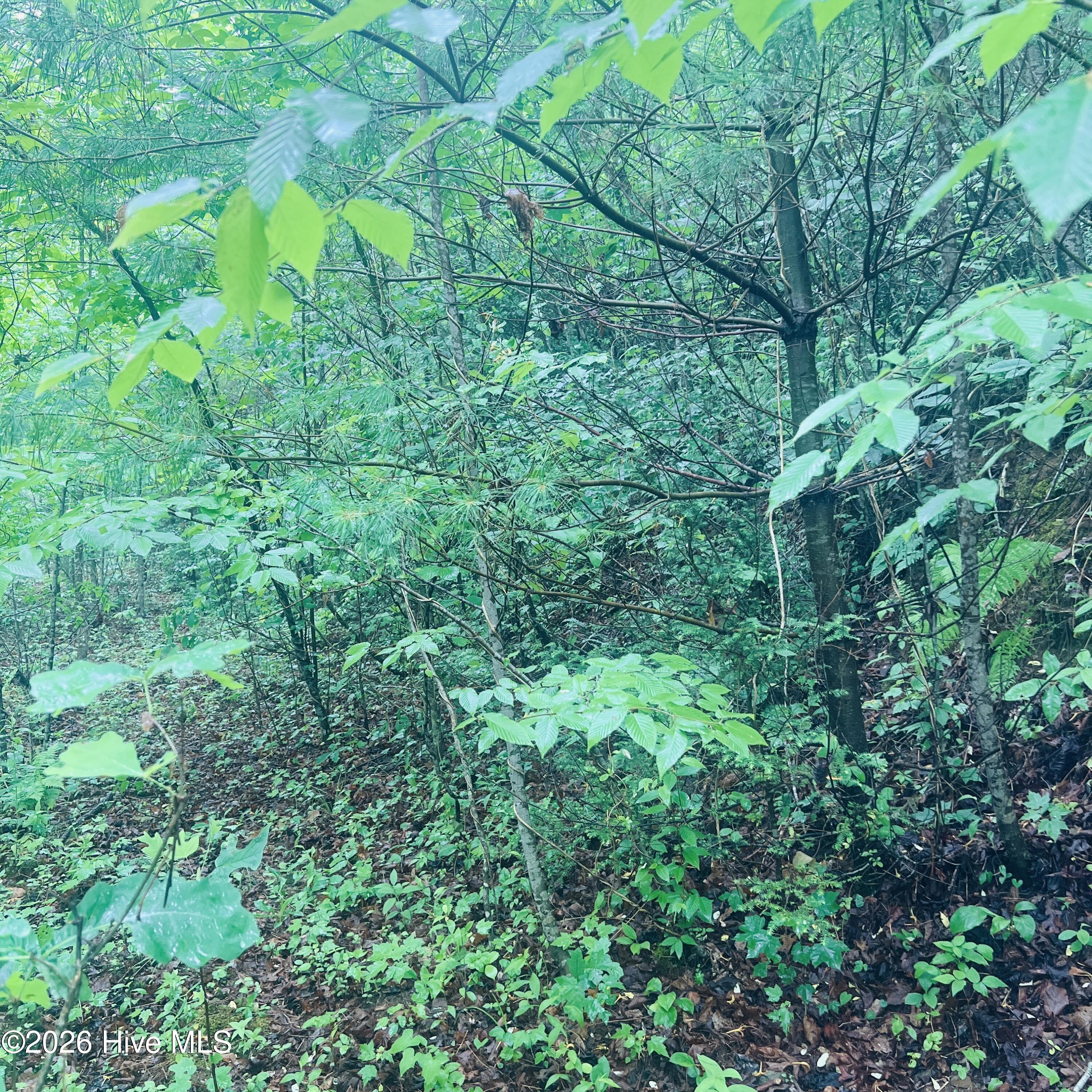 Exterior photo of Lot 20 20 Owl Bluff, Murphy, NC 28906. MLS: 100581703