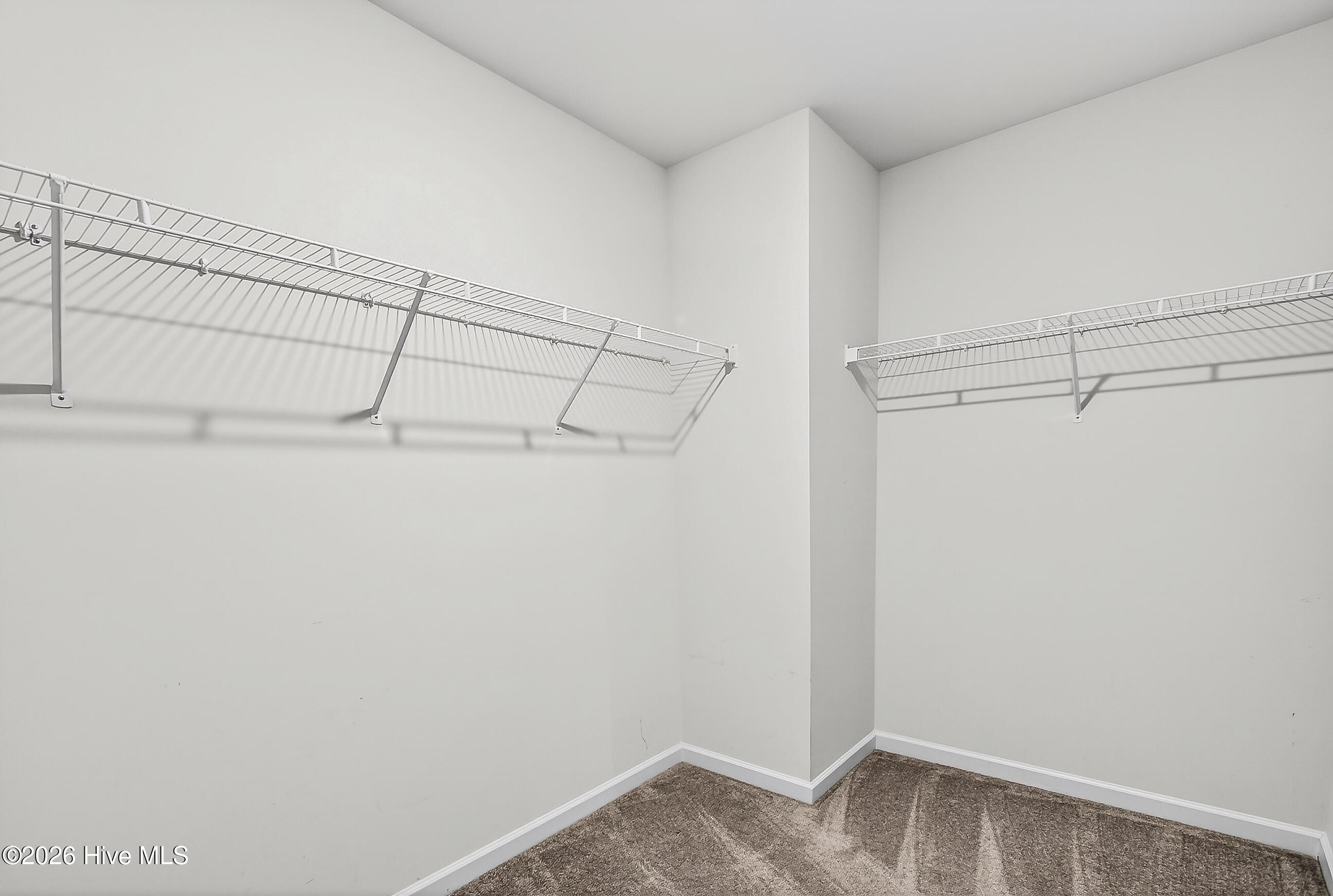 100565797 | Photo 18