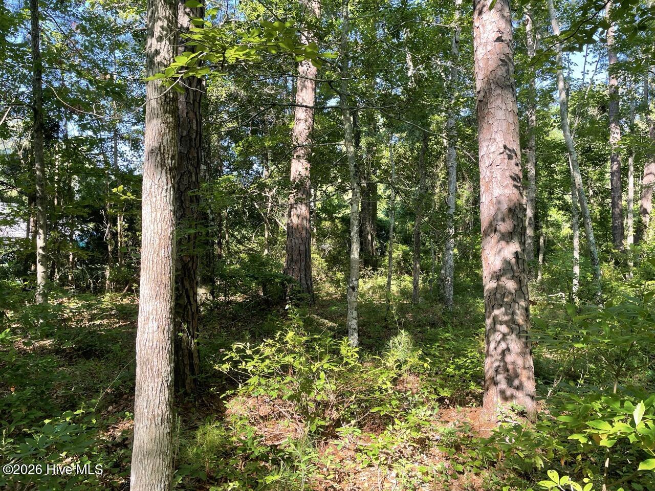 126 34 Deer Trail,Beaufort