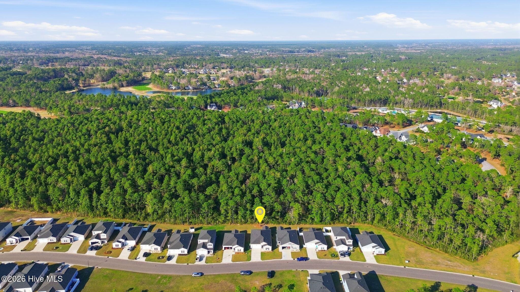 100560764 | Photo 41