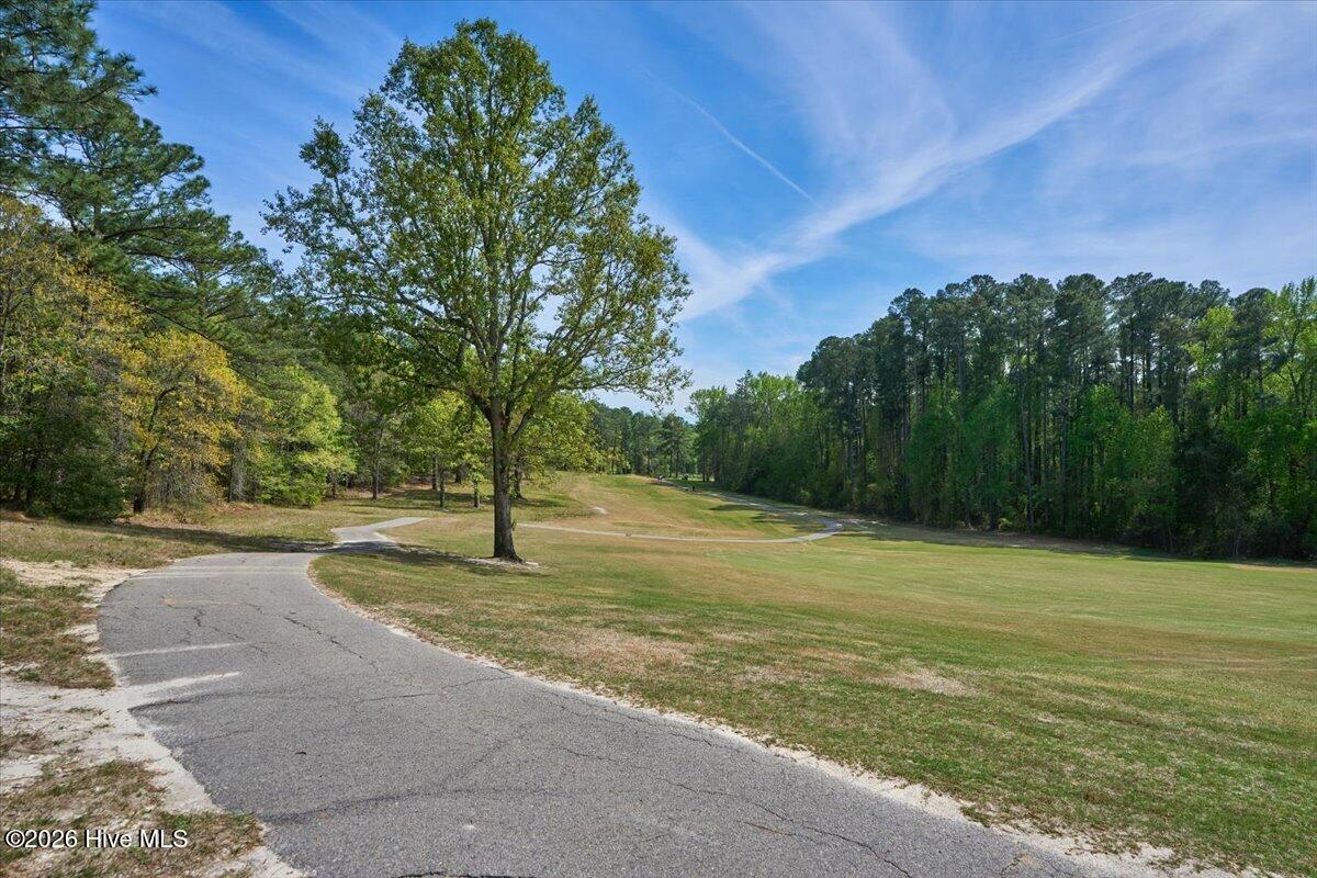 451 Thimbleberry Drive, Vass, NC, 28394