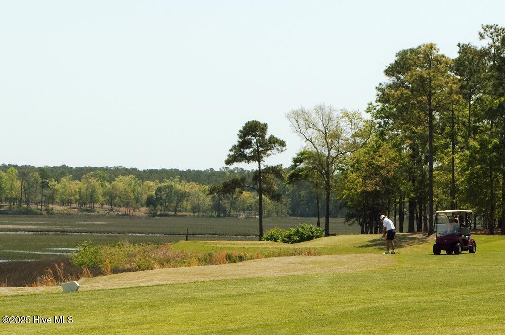 100521062 | Photo 12