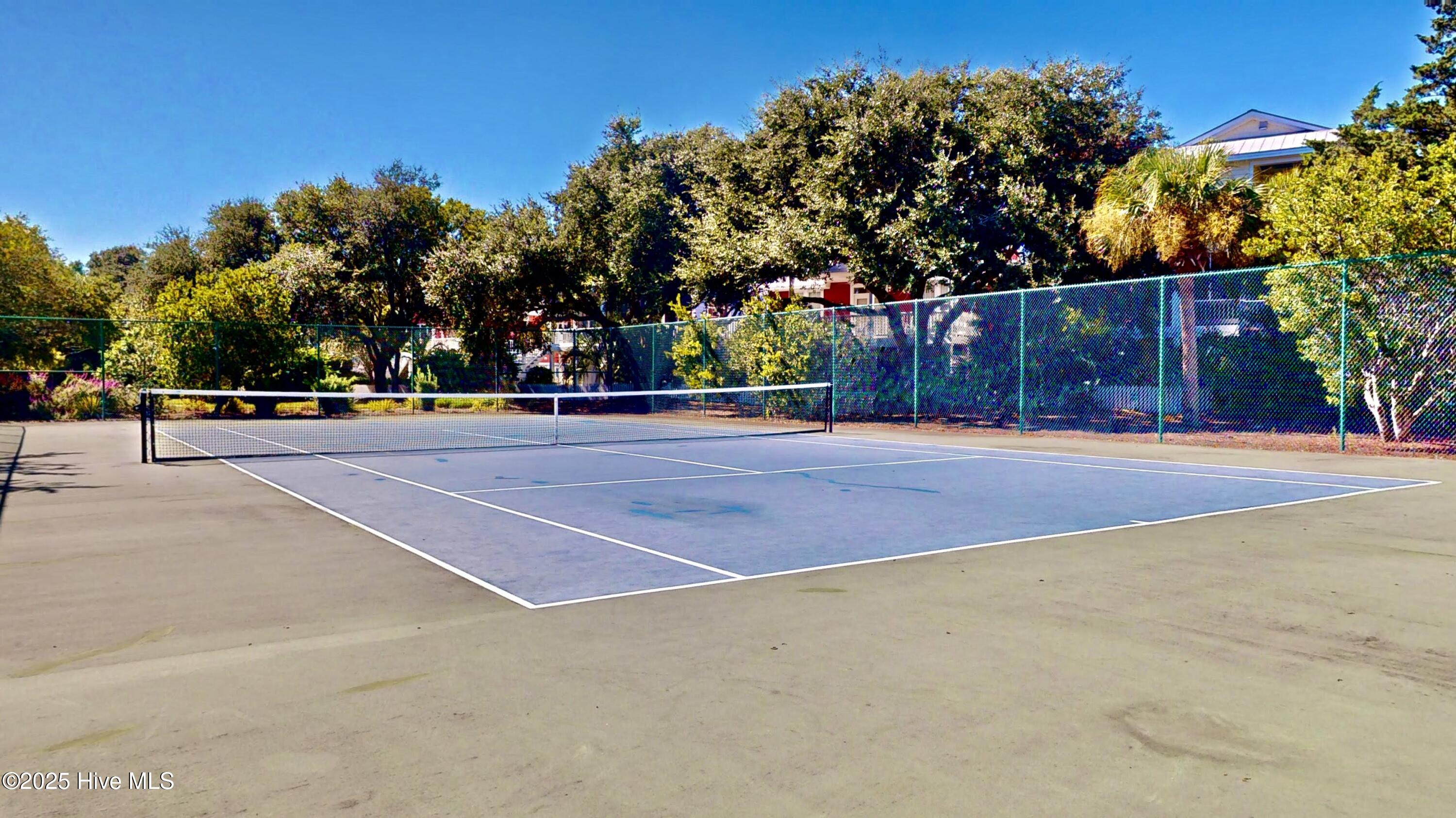 100544157 | Photo 62