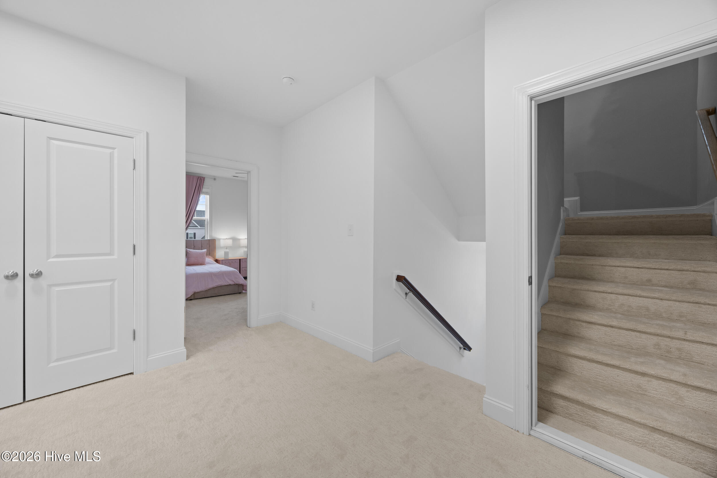 100554590 | Photo 46