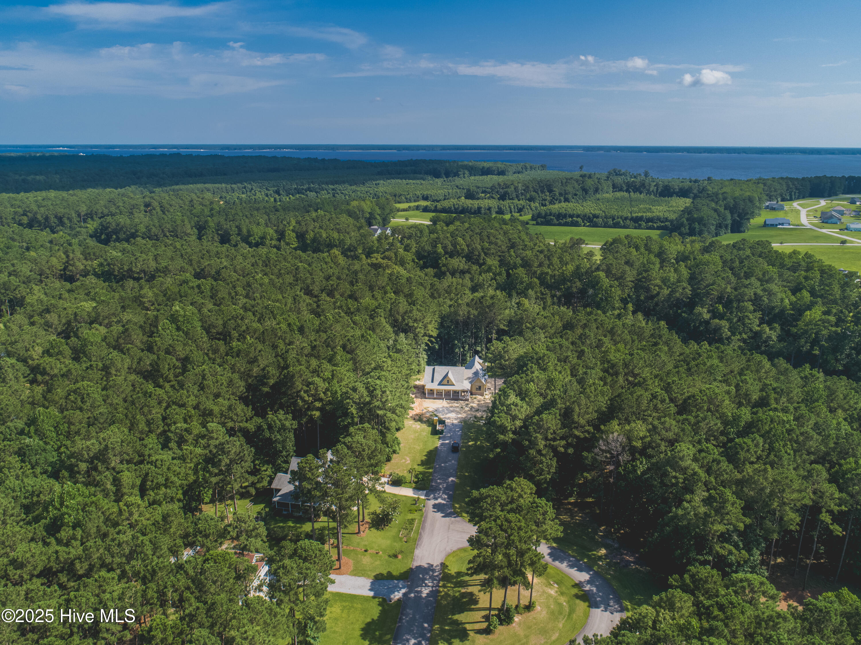 Lot 92 - 203 Wild Cherry (8)