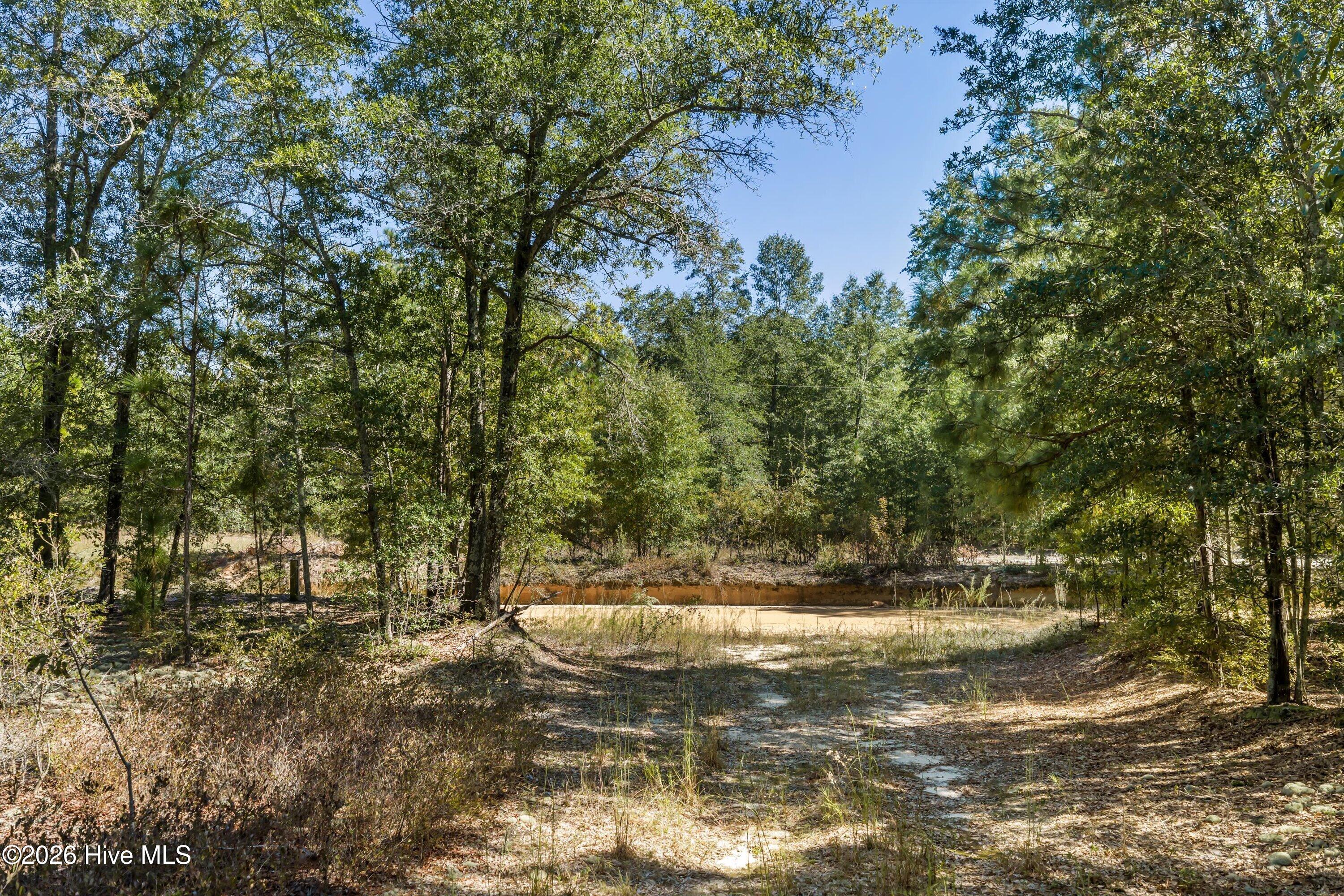 Photo 21 of Land for sale at 0000 Mary Rawls Rd, Wagener, SC 29164 | MLS# 100609229 | Listing updated on 2026-10-09